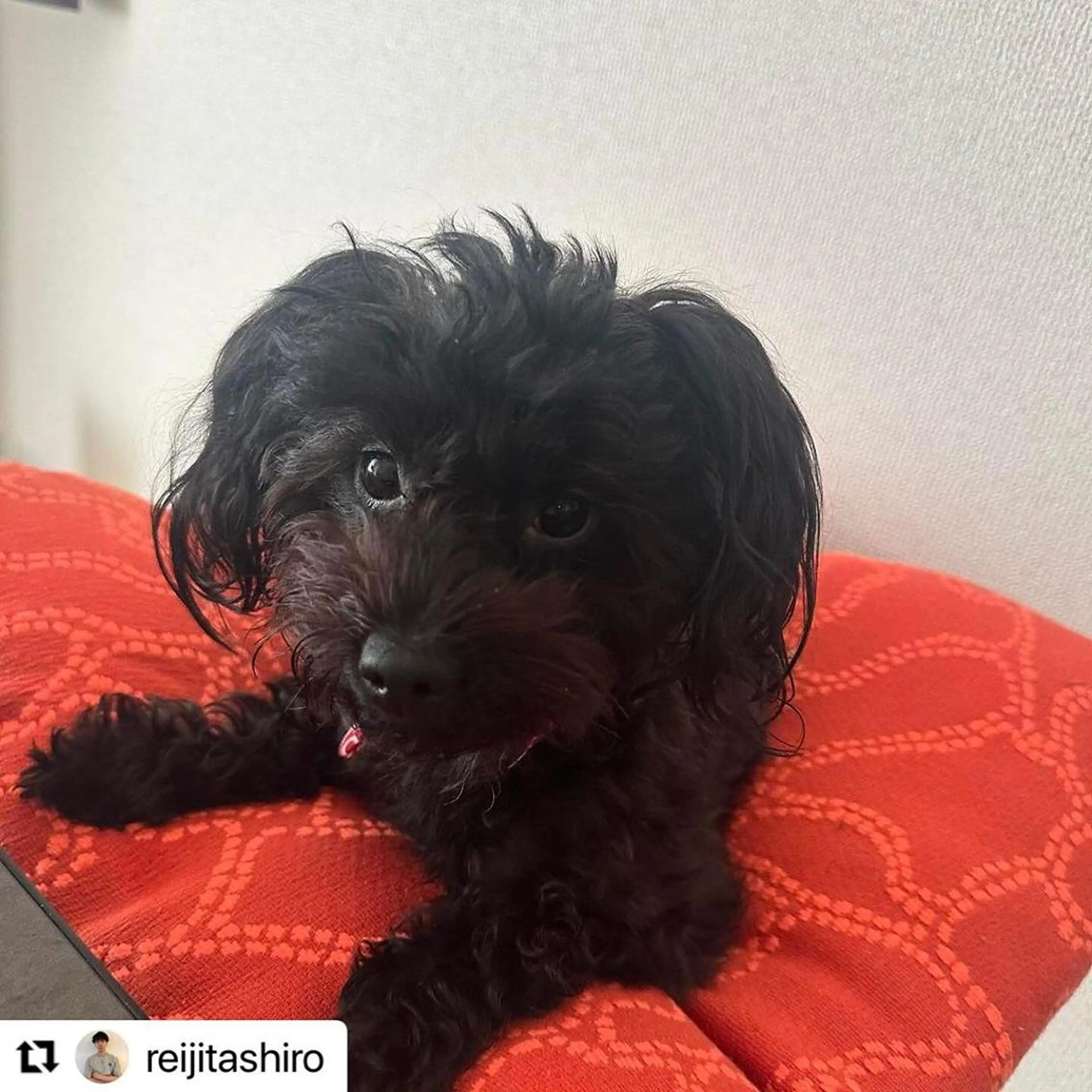 🩷Eny terrace🩷のヘアスタイル