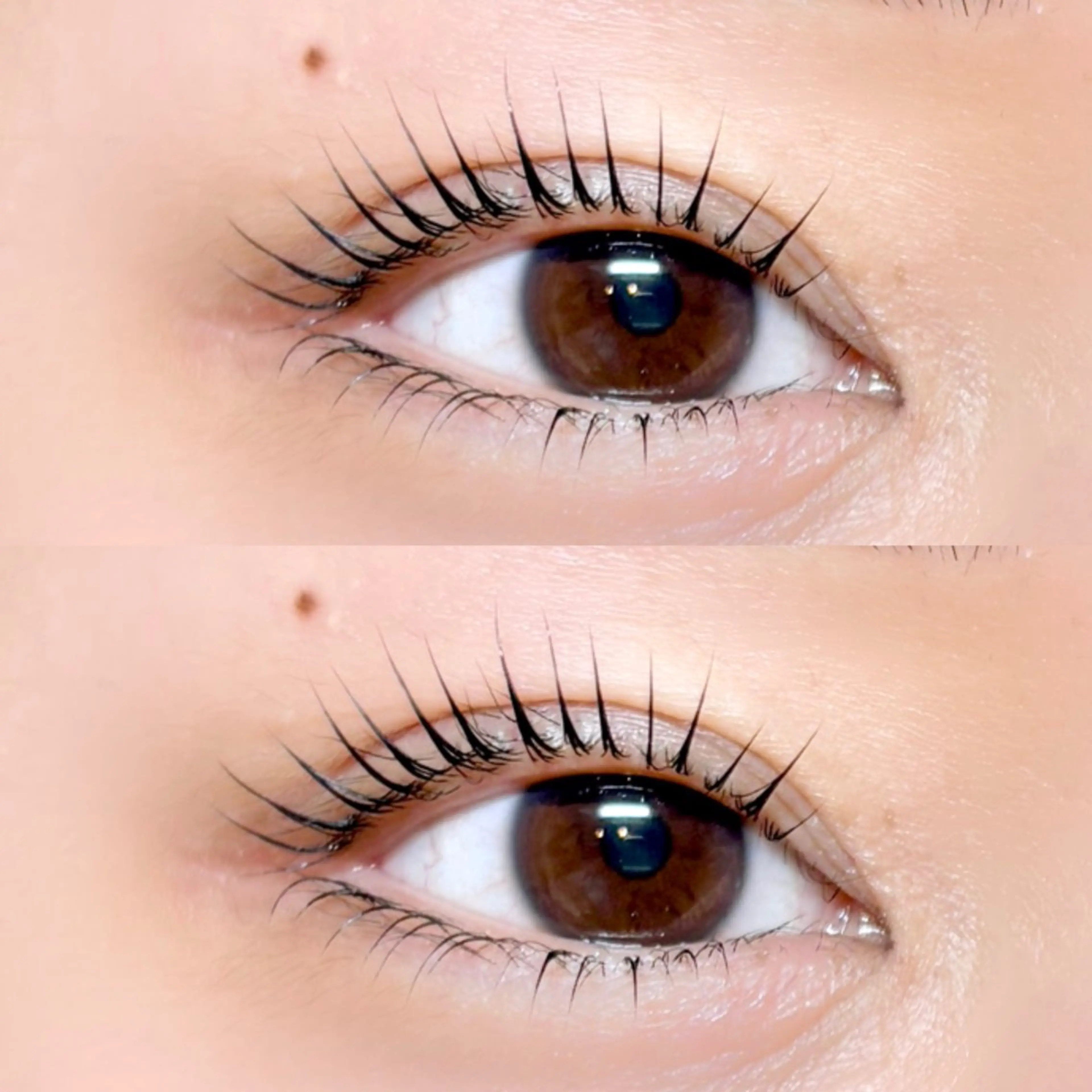 新規様限定🌟上下まつ毛パーマの写真