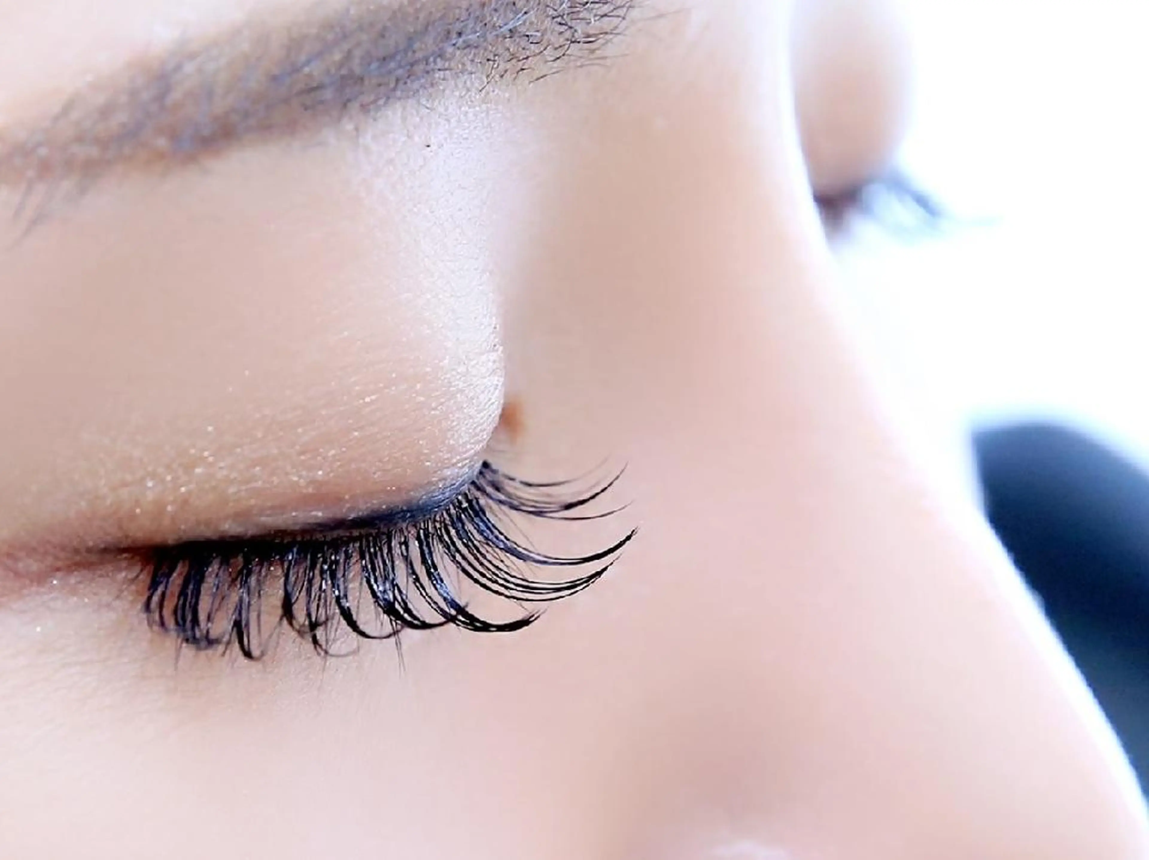 バインドロック80束9000円/100束10000円の写真