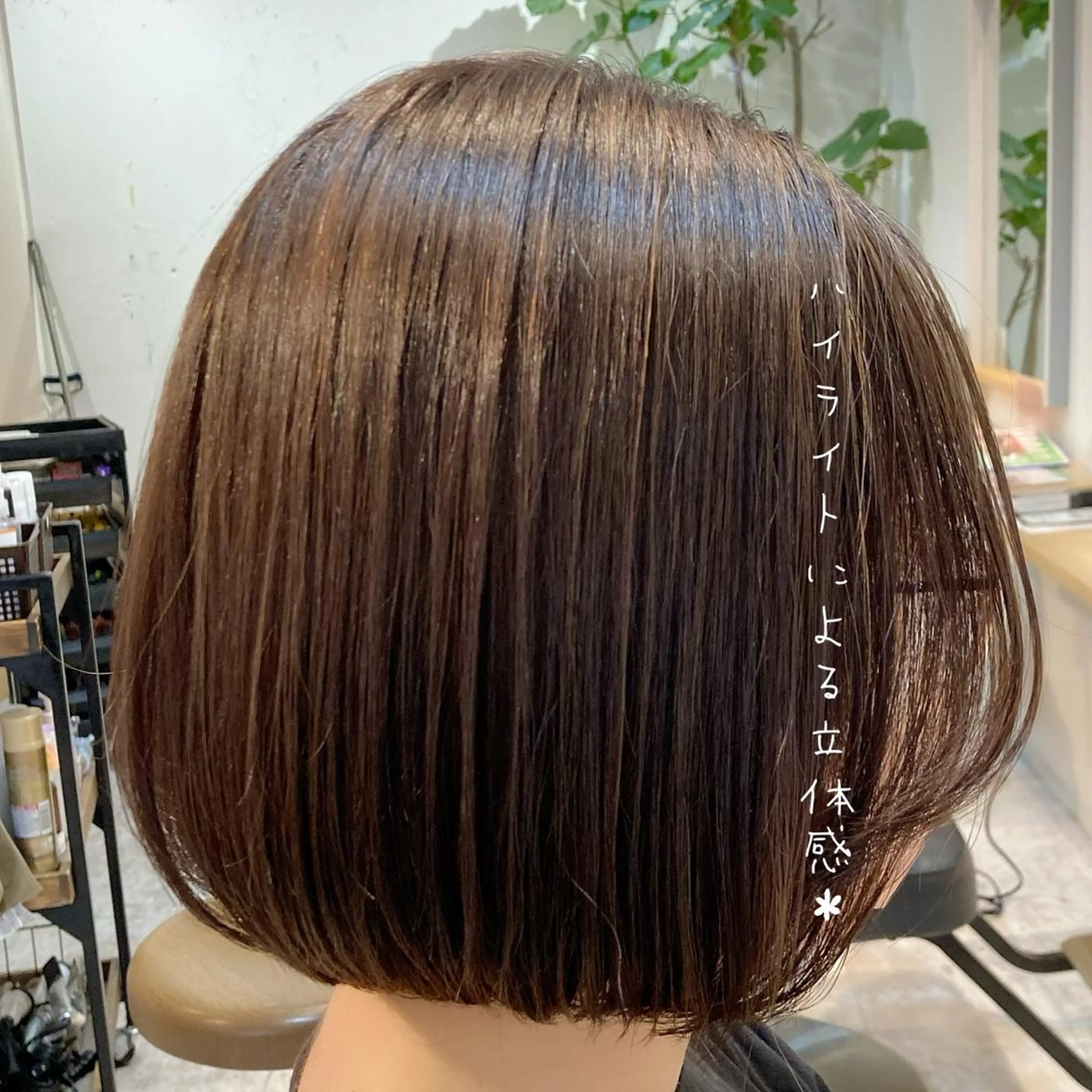 ショート カラー ハイライトカラー ハイライト 【女性指名No.1】 西口直子のヘアスタイル