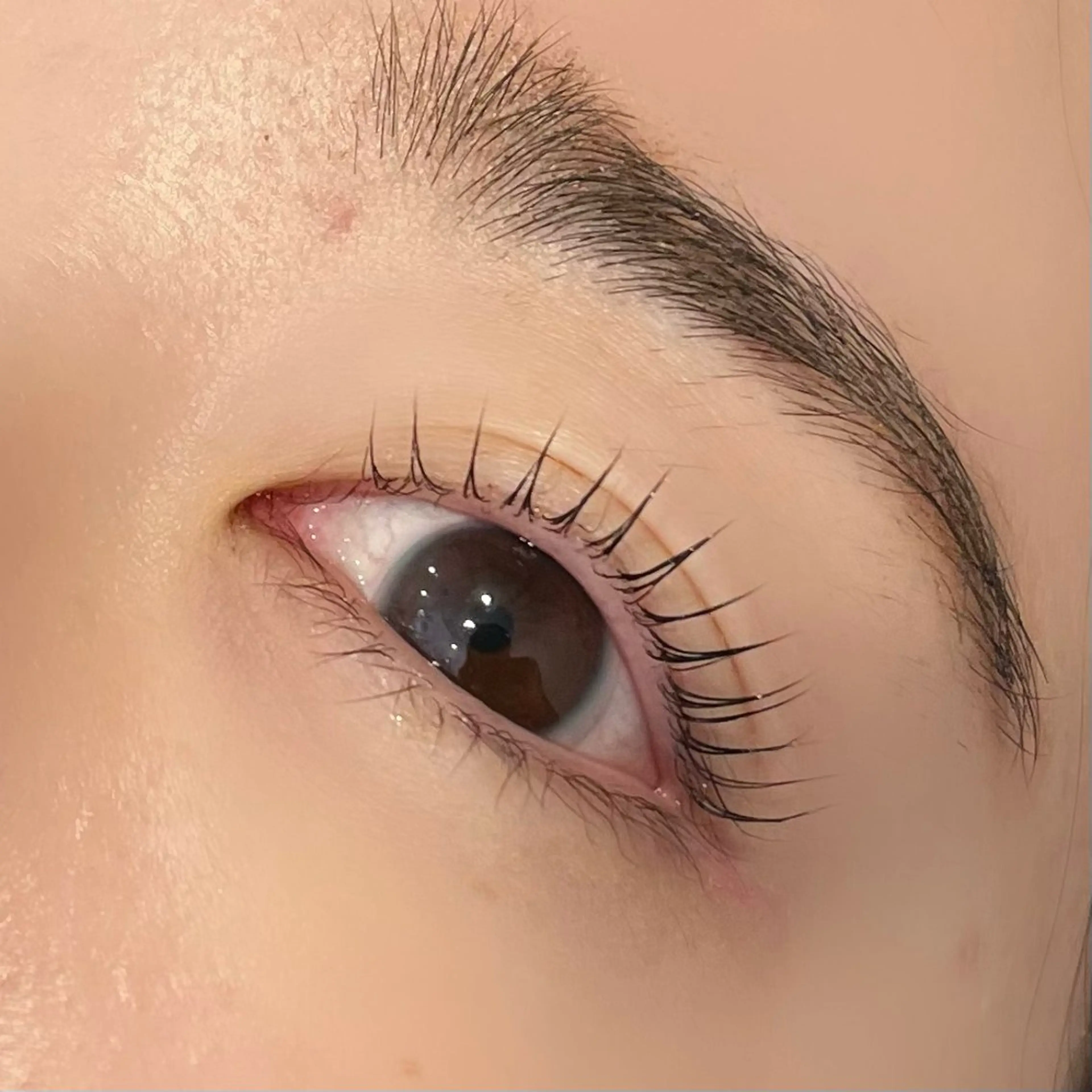 マツエク・マツパ マツパ Lycka 明音のマツエク・マツパデザイン