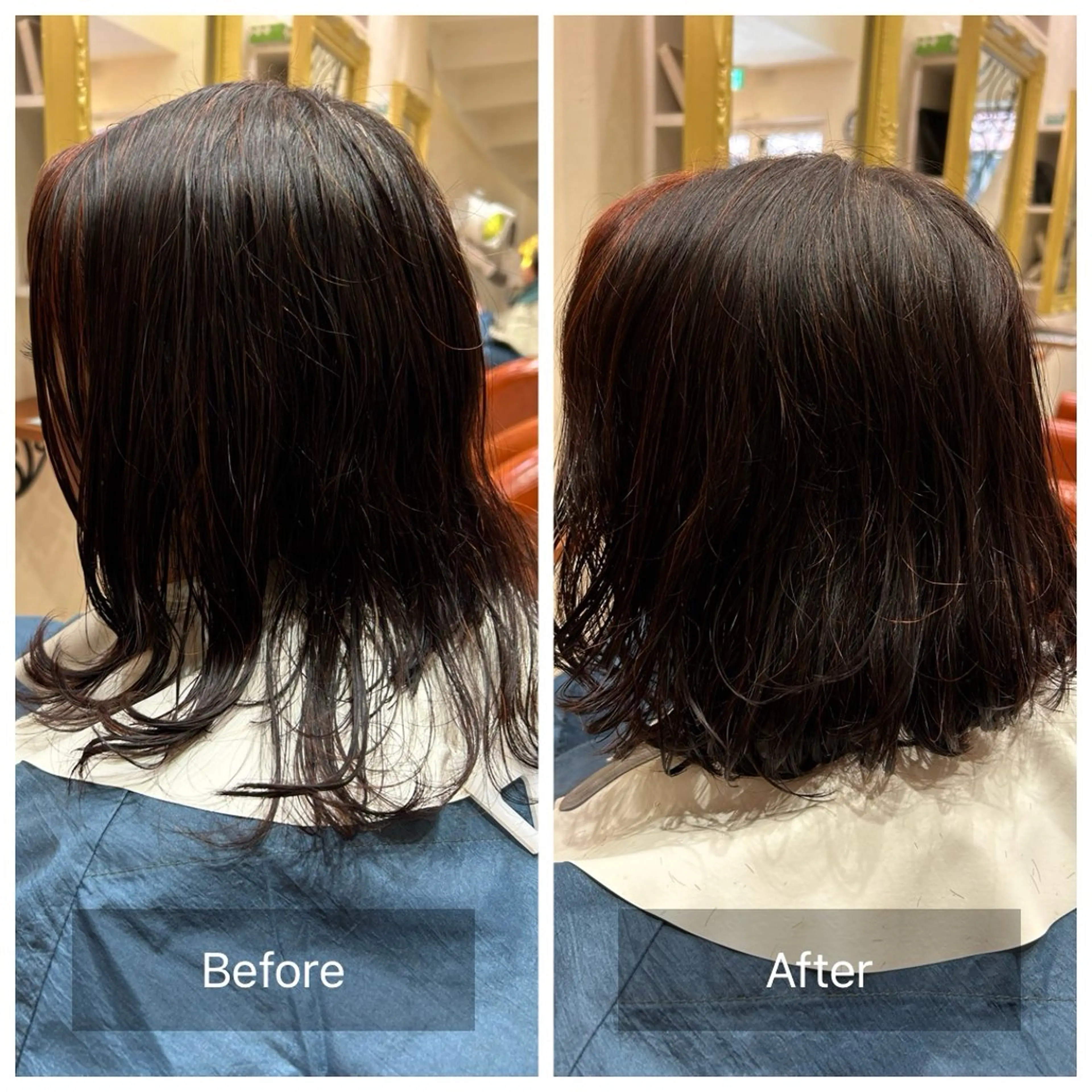 ショート ボブ 白幡 彩香のヘアスタイル