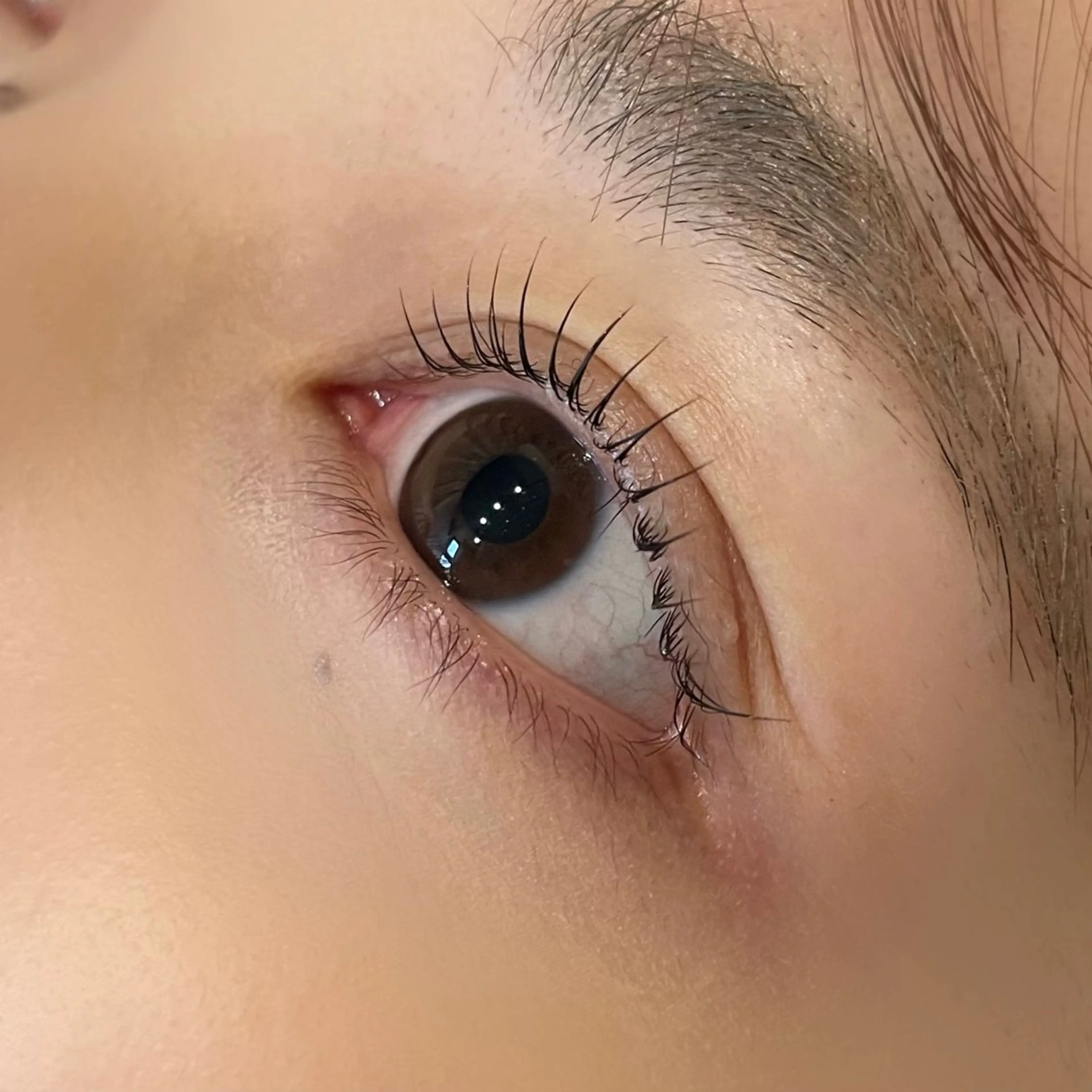 マツエク・マツパ ナチュラル 一重×まつ毛パーマ 眉毛/まつ毛/代官山 アイサロン🌻NAEのマツエク・マツパデザイン