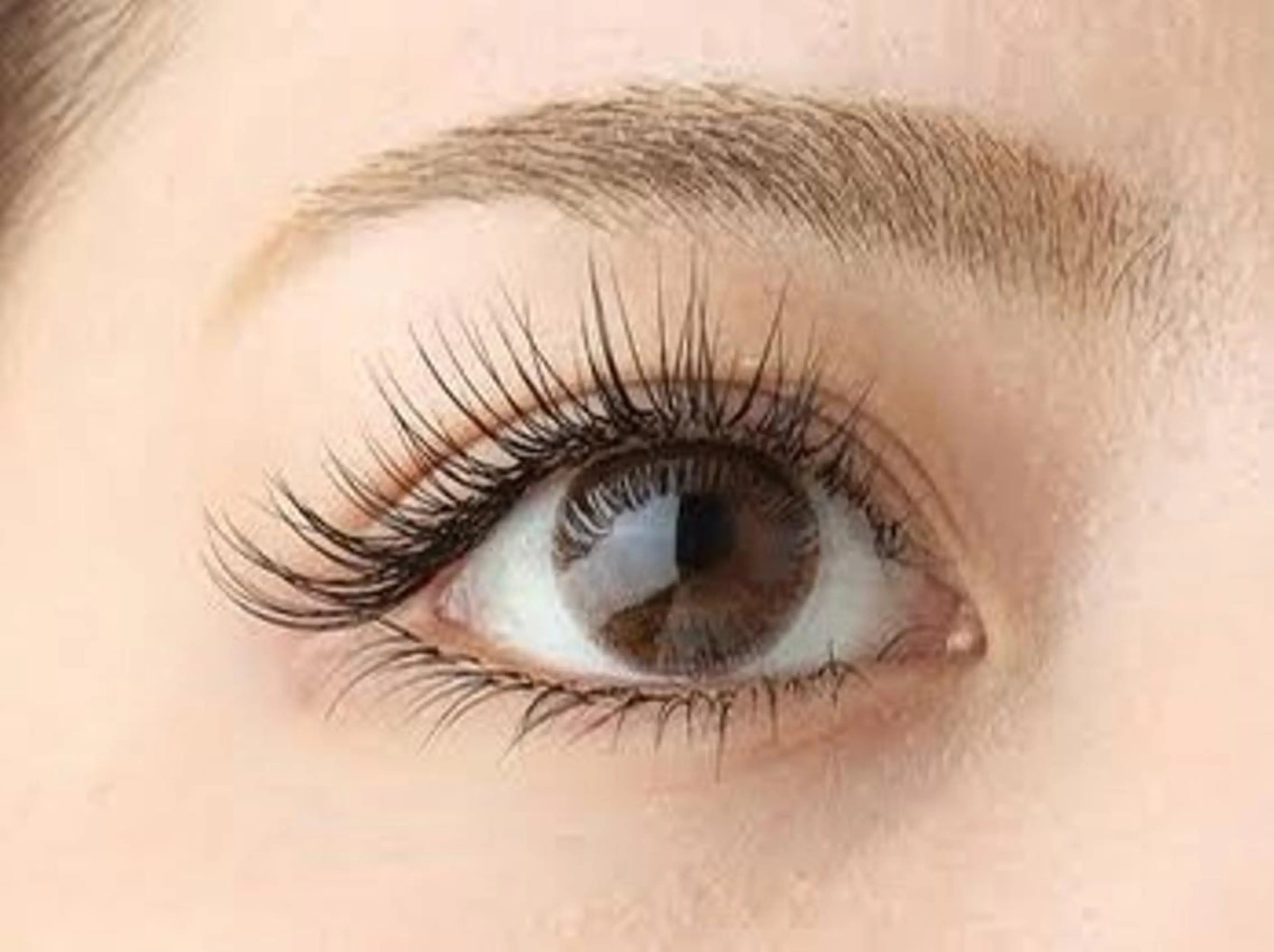 マツエク・マツパ フラットラッシュ セーブル シルク マツエク ニコット　ラッシュ 神戸三宮店のマツエク・マツパデザイン