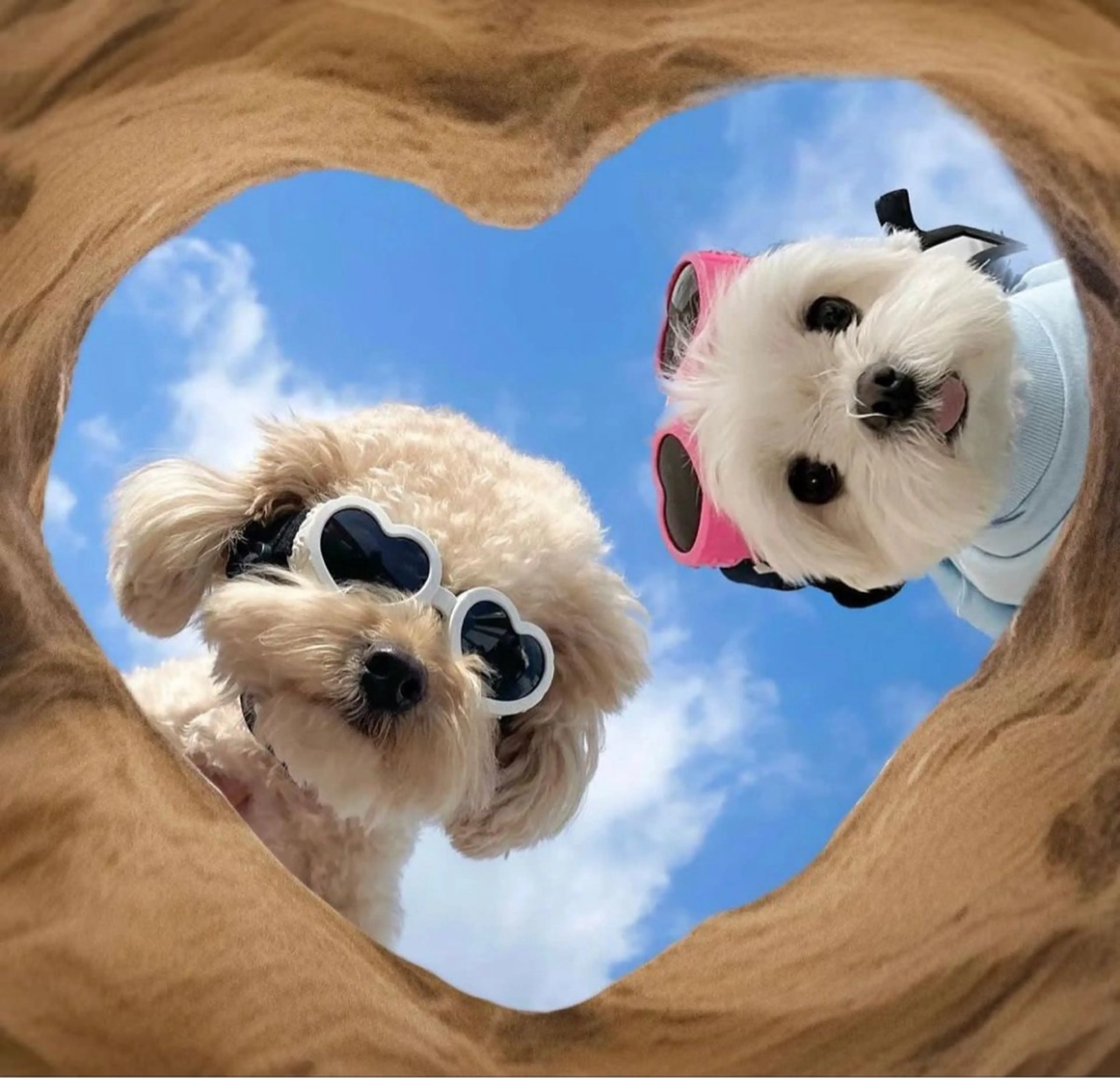 アイブロウ Silk by Bianca 柳🐕のマツエク・マツパデザイン