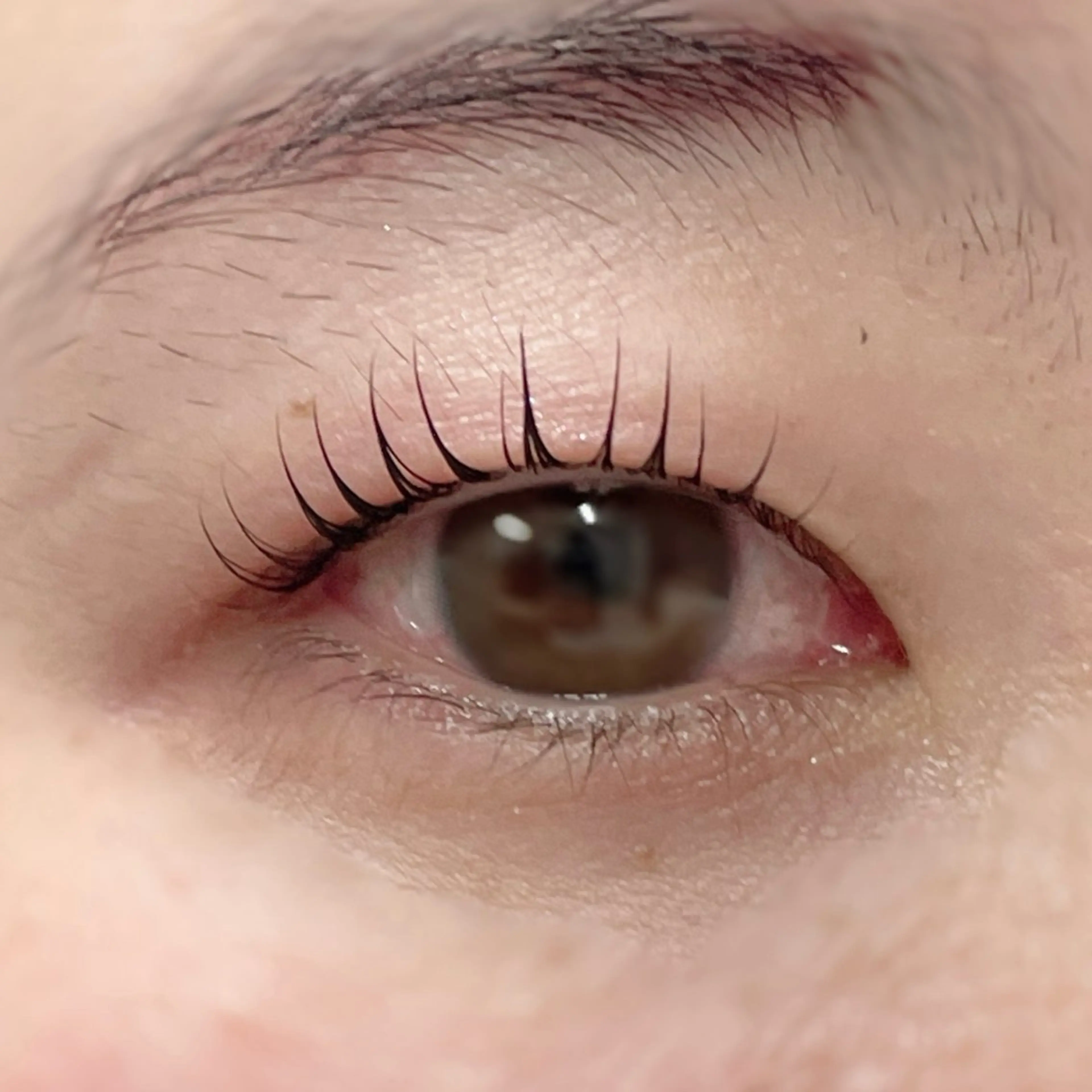 マツエク・マツパ マツパ mihiro 🐈‍⬛の眉毛・アイブロウイメージ