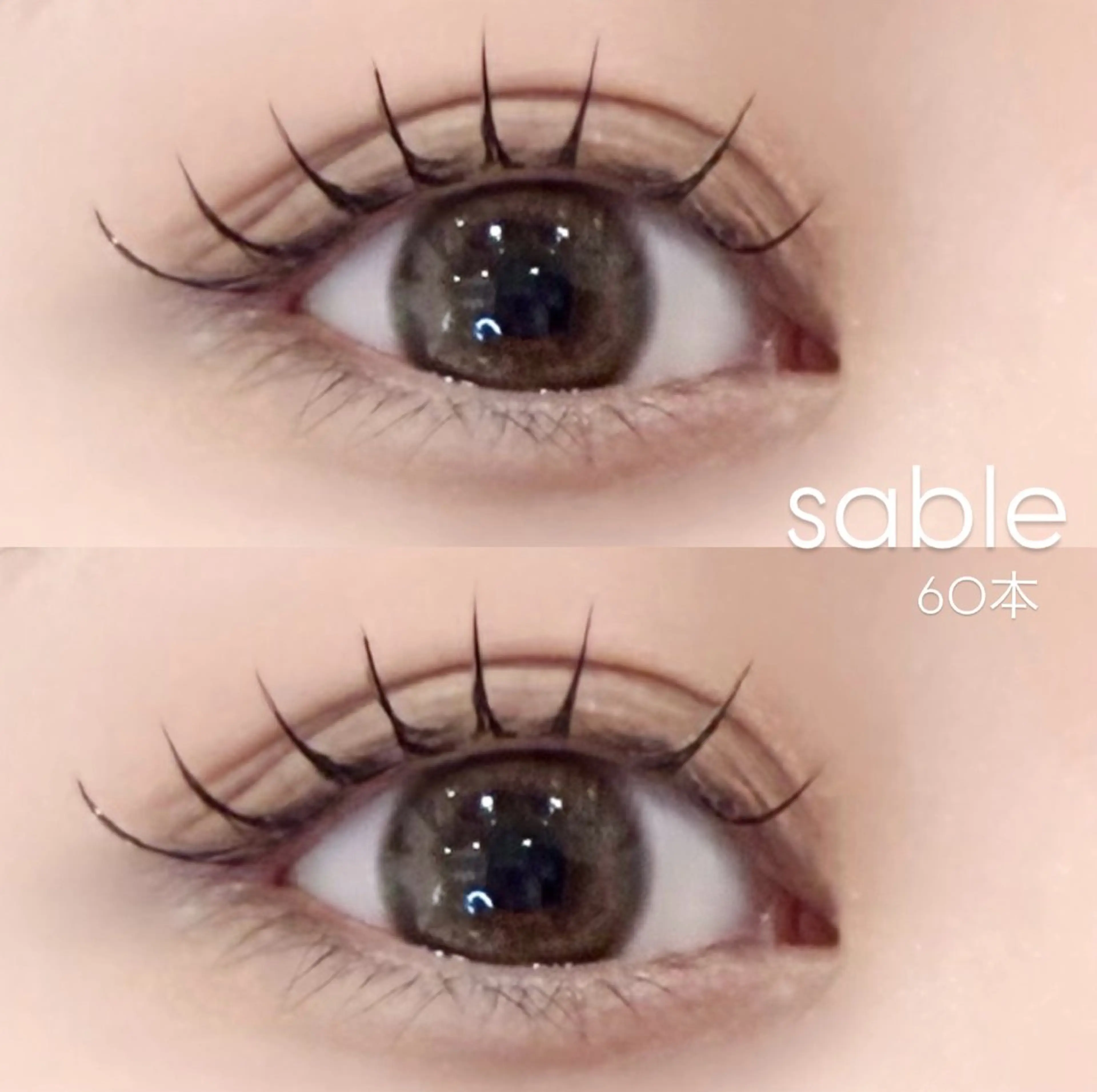 【新規限定】 🎀セーブル80本🎀(詳細確認必須)の写真