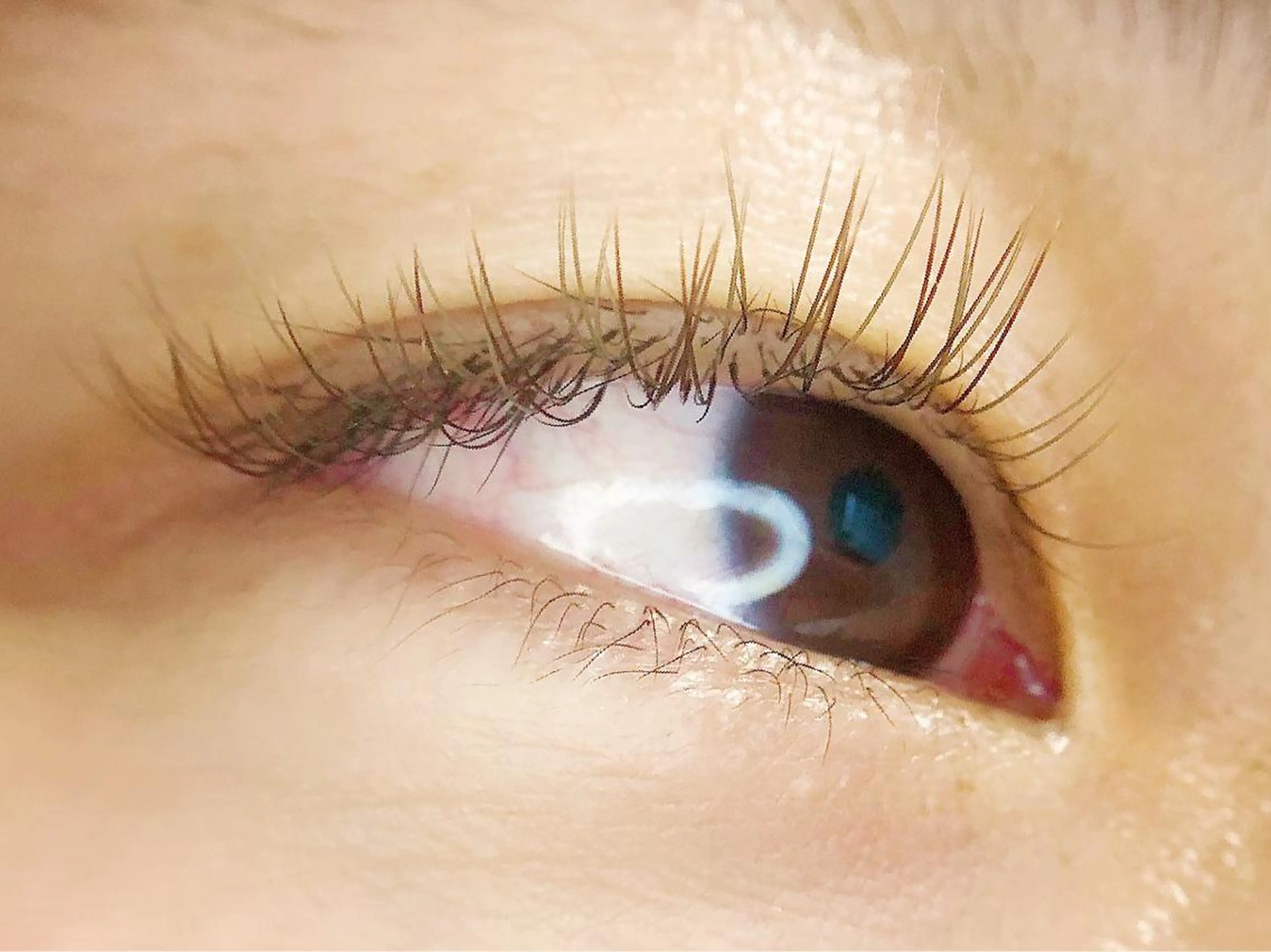 カラー マツエク・マツパ K&E lashe /大垣　まつ毛、眉毛のマツエク・マツパデザイン