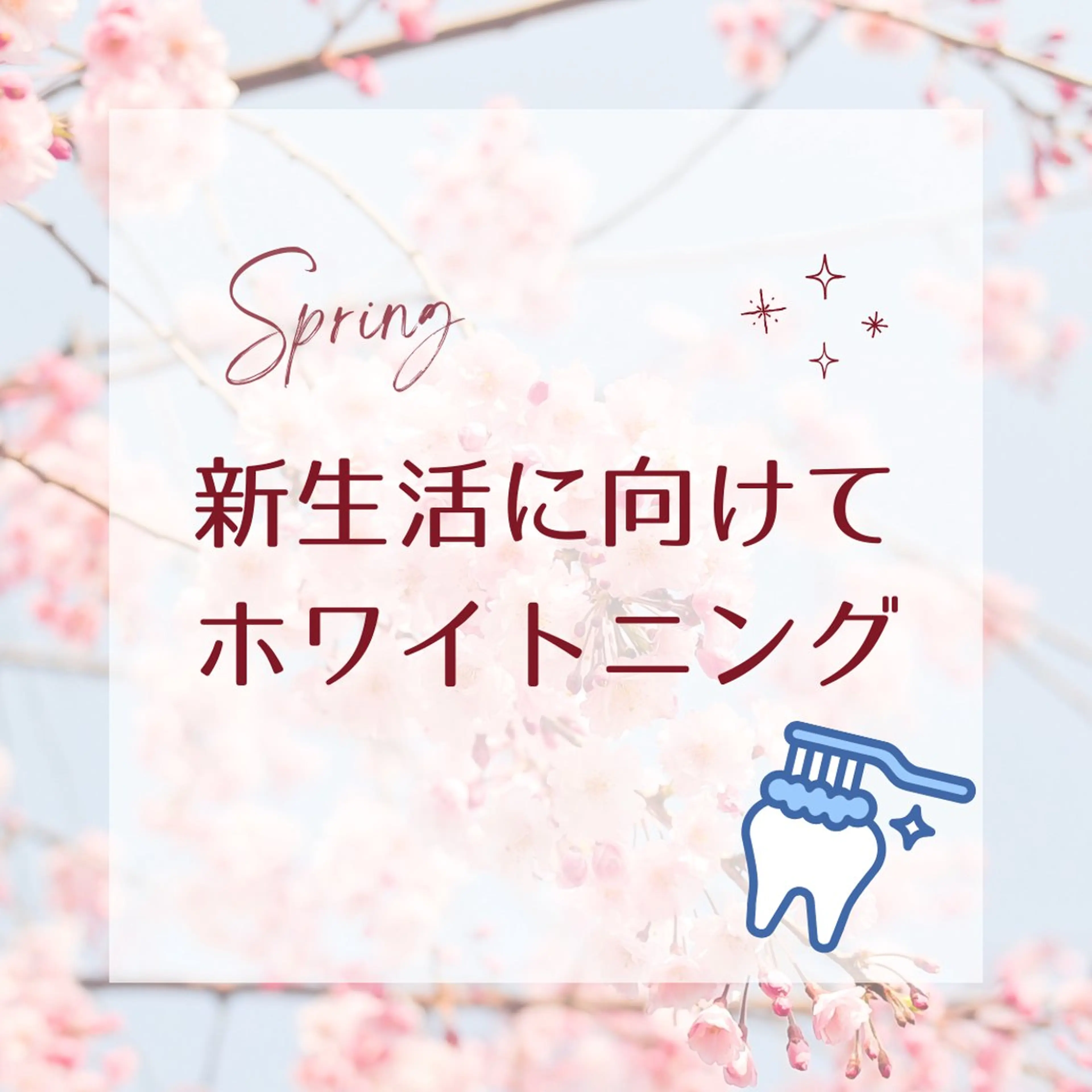 その他 ホワイトニング ショップ津店のその他イメージ