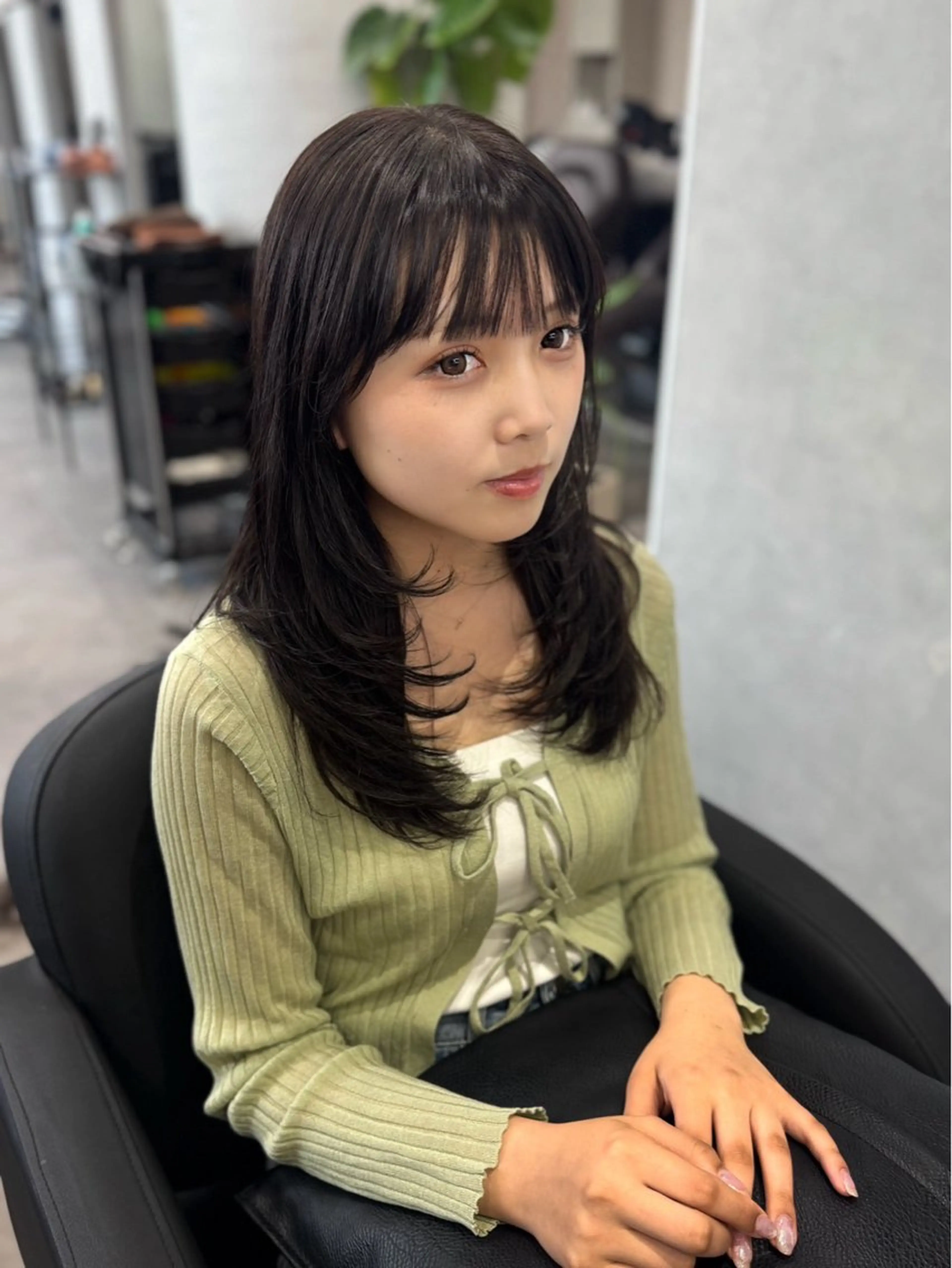 カットモデルの写真