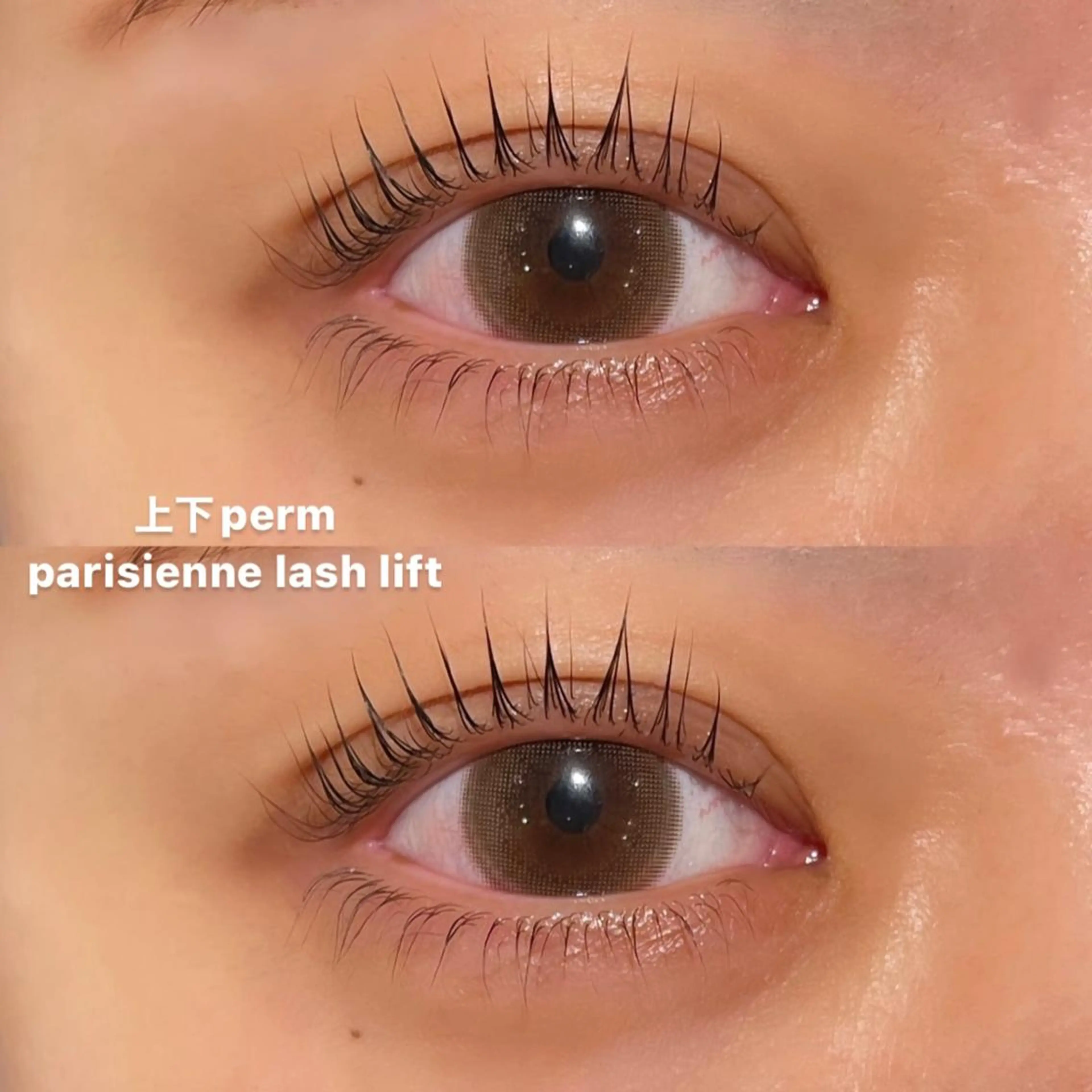 【新規】ご新規様限定!🎀上下 似合わせパーマ(オフ代別途500円)🫶🏻✨の写真