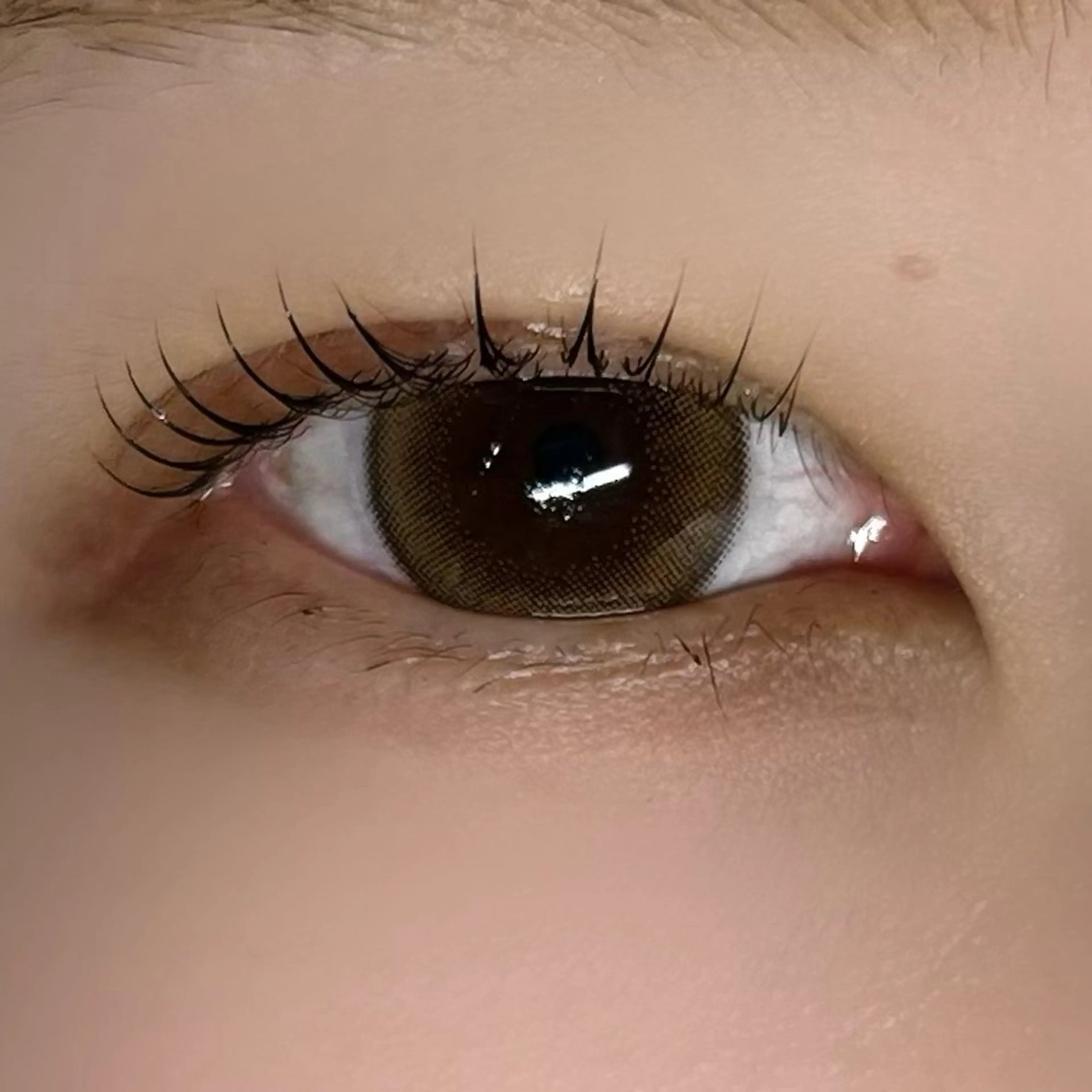 マツエク・マツパ 垢抜け眉WAX専門 ちゅるんまつげ|鎌倉の眉毛・アイブロウイメージ