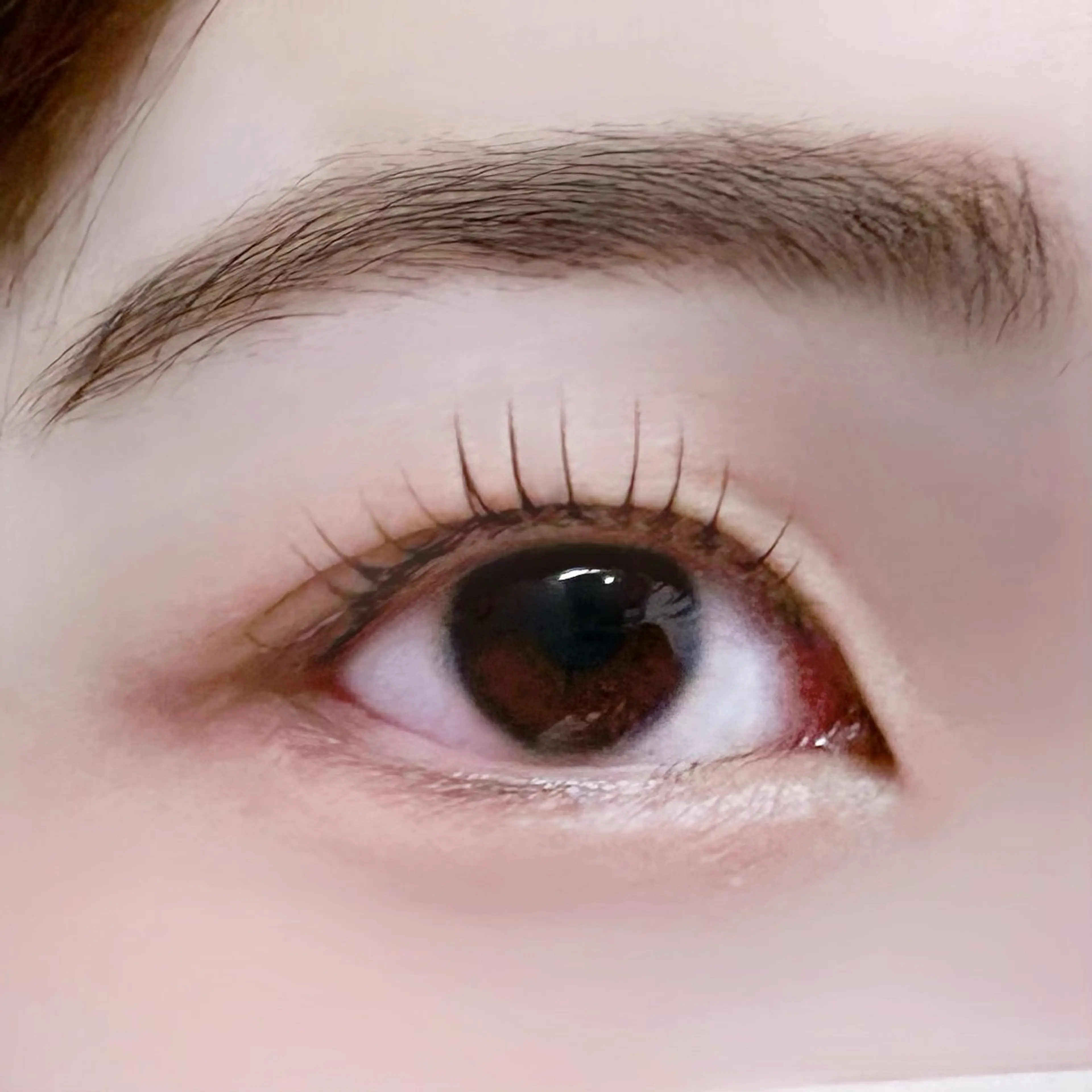 マツエク・マツパ Miraju MARINの眉毛・アイブロウイメージ