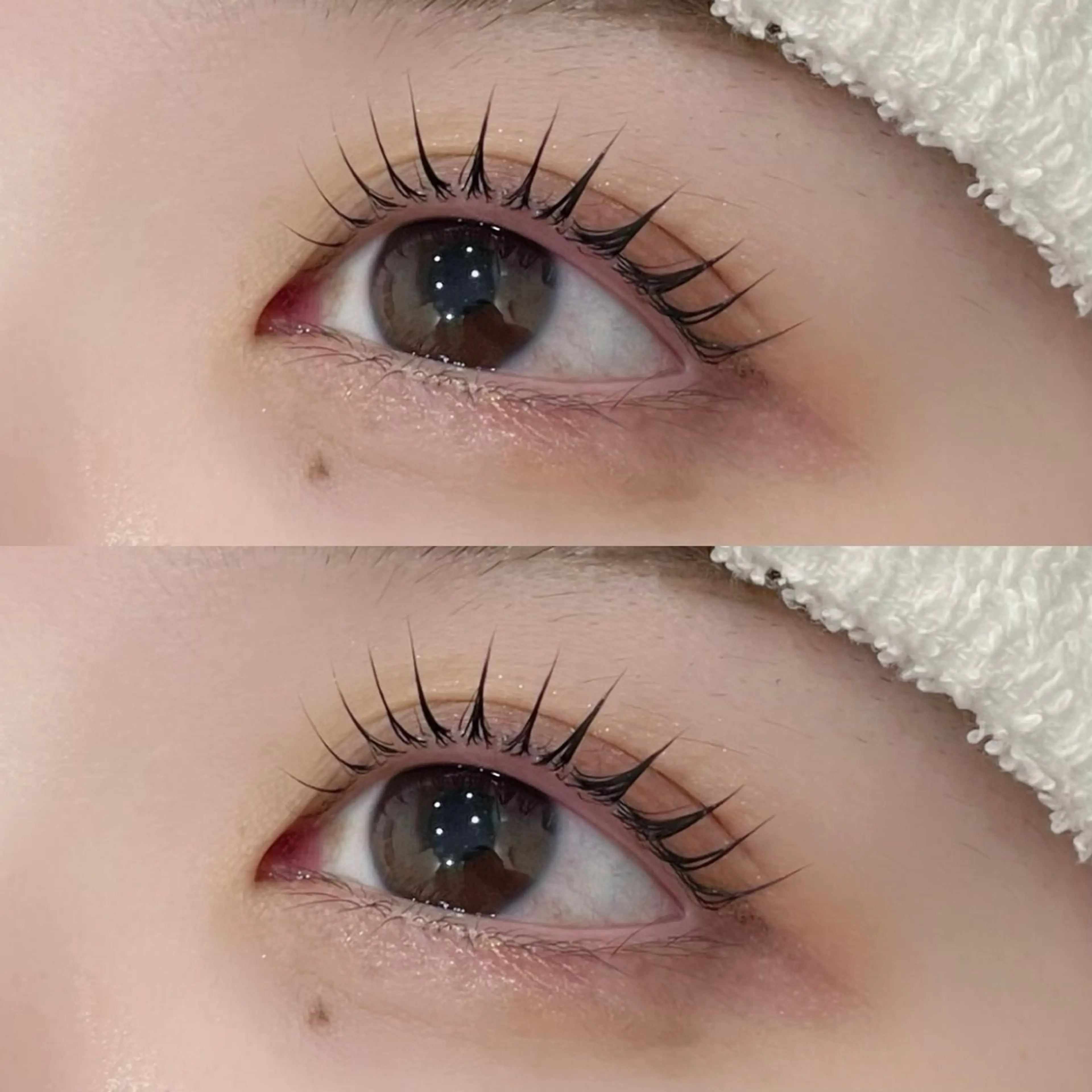 【👑人気No.1👑】❤︎パリジェンヌラッシュリフト❤︎+ケアTr/コーティング仕上げ🫧の写真