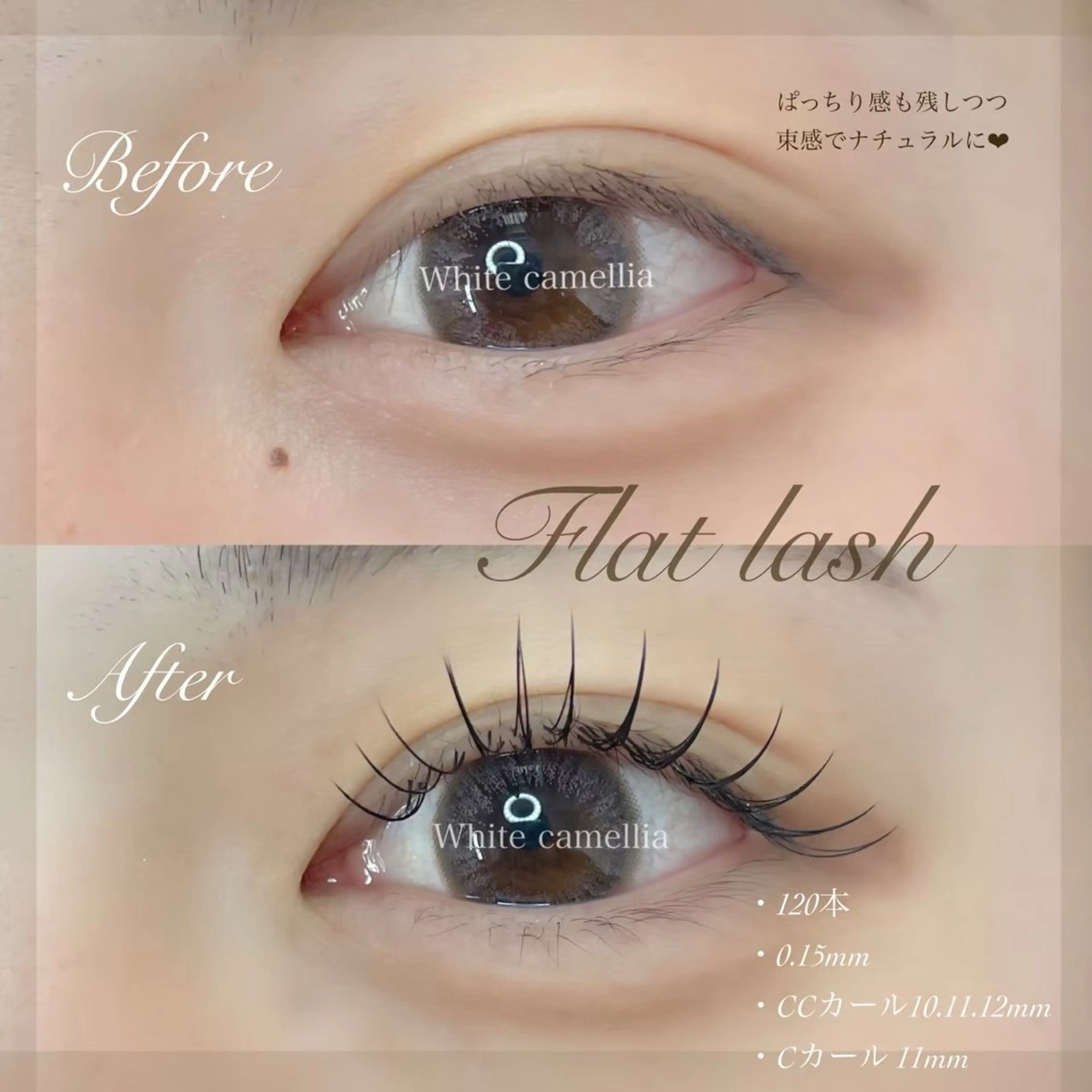 マツエク・マツパ miyu/圧倒的モチ /韓国風束感のマツエク・マツパデザイン