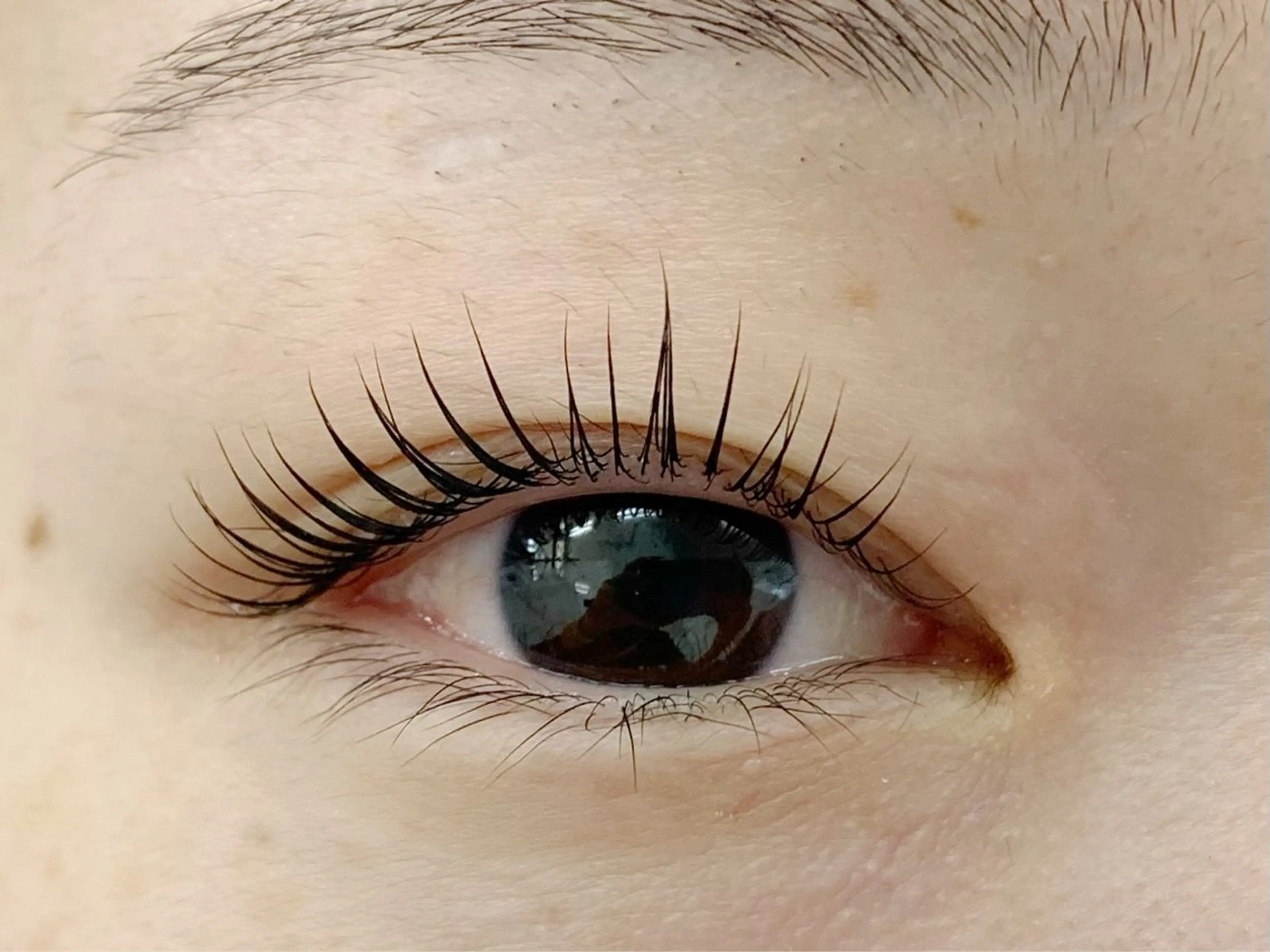 マツエク・マツパ 一重×まつ毛パーマ Rich to 松崎　麻衣子のマツエク・マツパデザイン