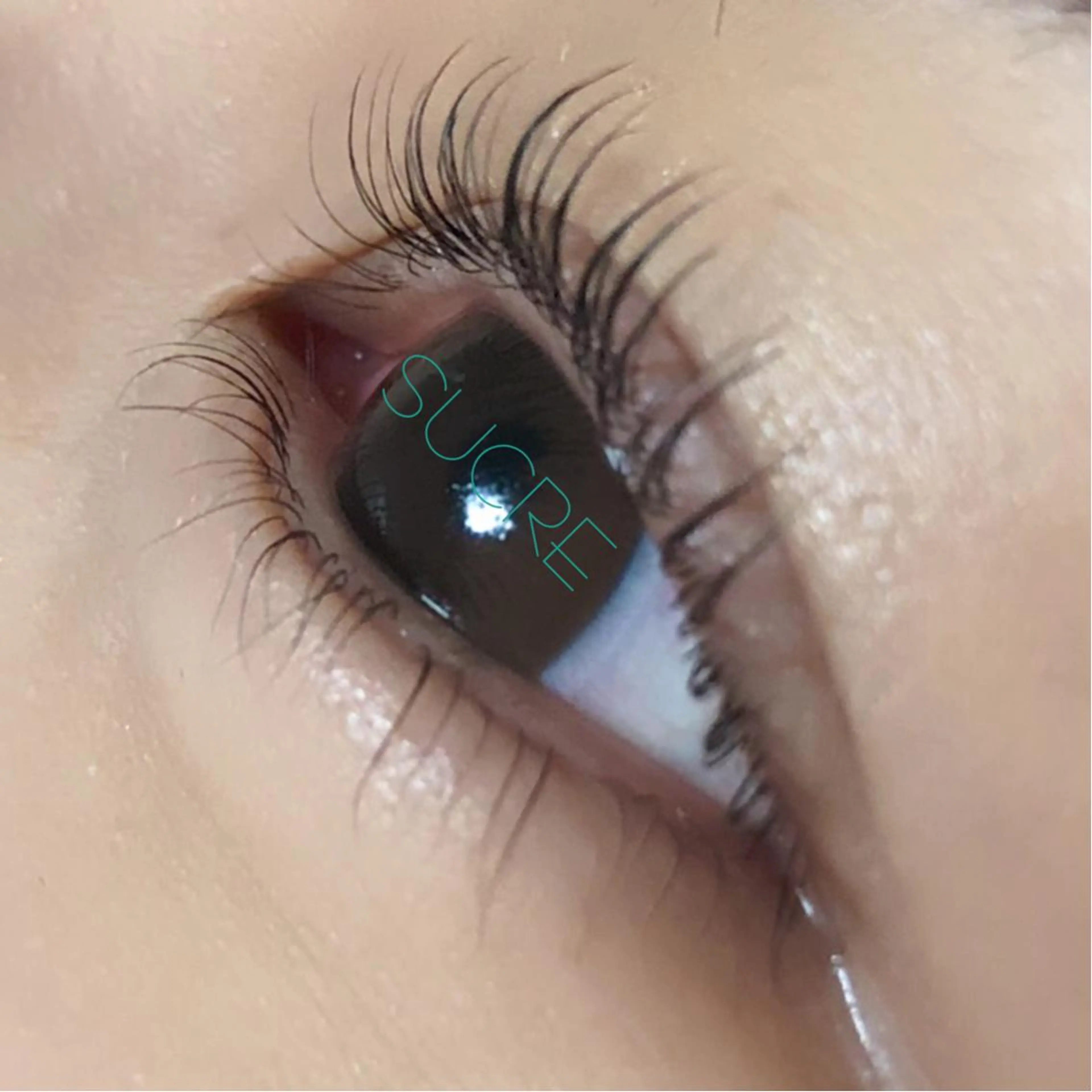 マツエク・マツパ Liz.&現ino 平田のマツエク・マツパデザイン