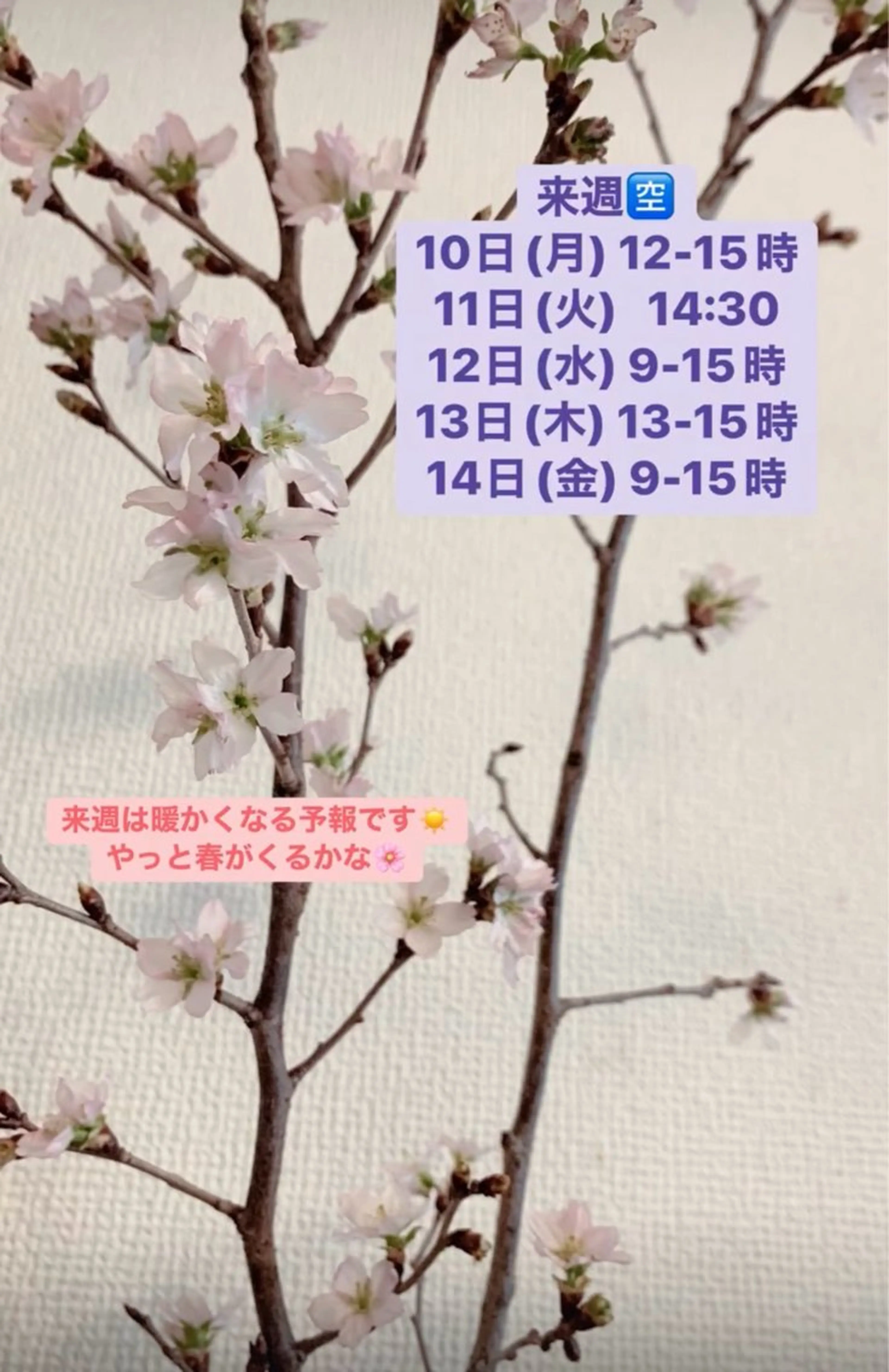 清水 由希のエステ・リラクイメージ