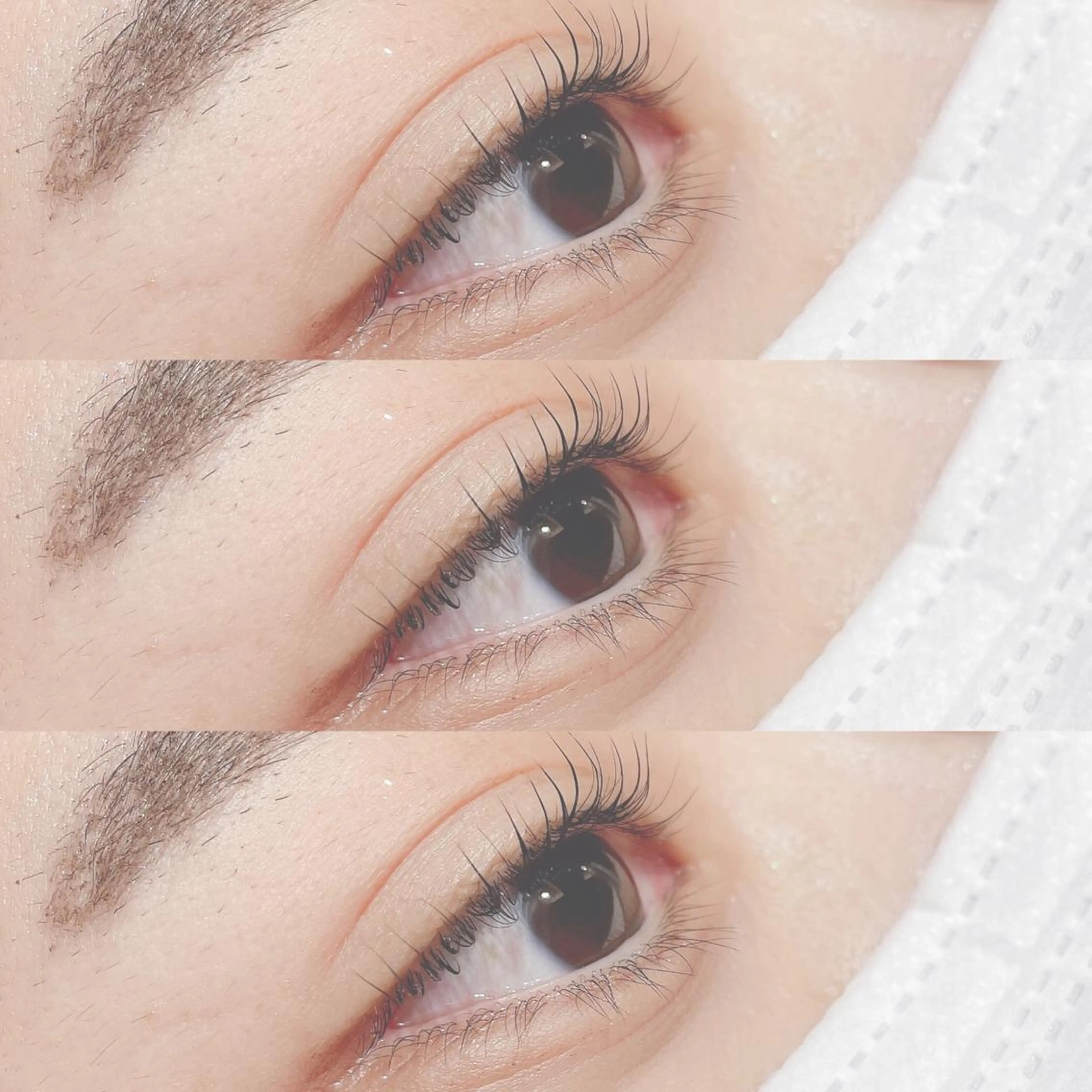 マツエク・マツパ 小湊理央 🐣LUCIA🐣のその他イメージ