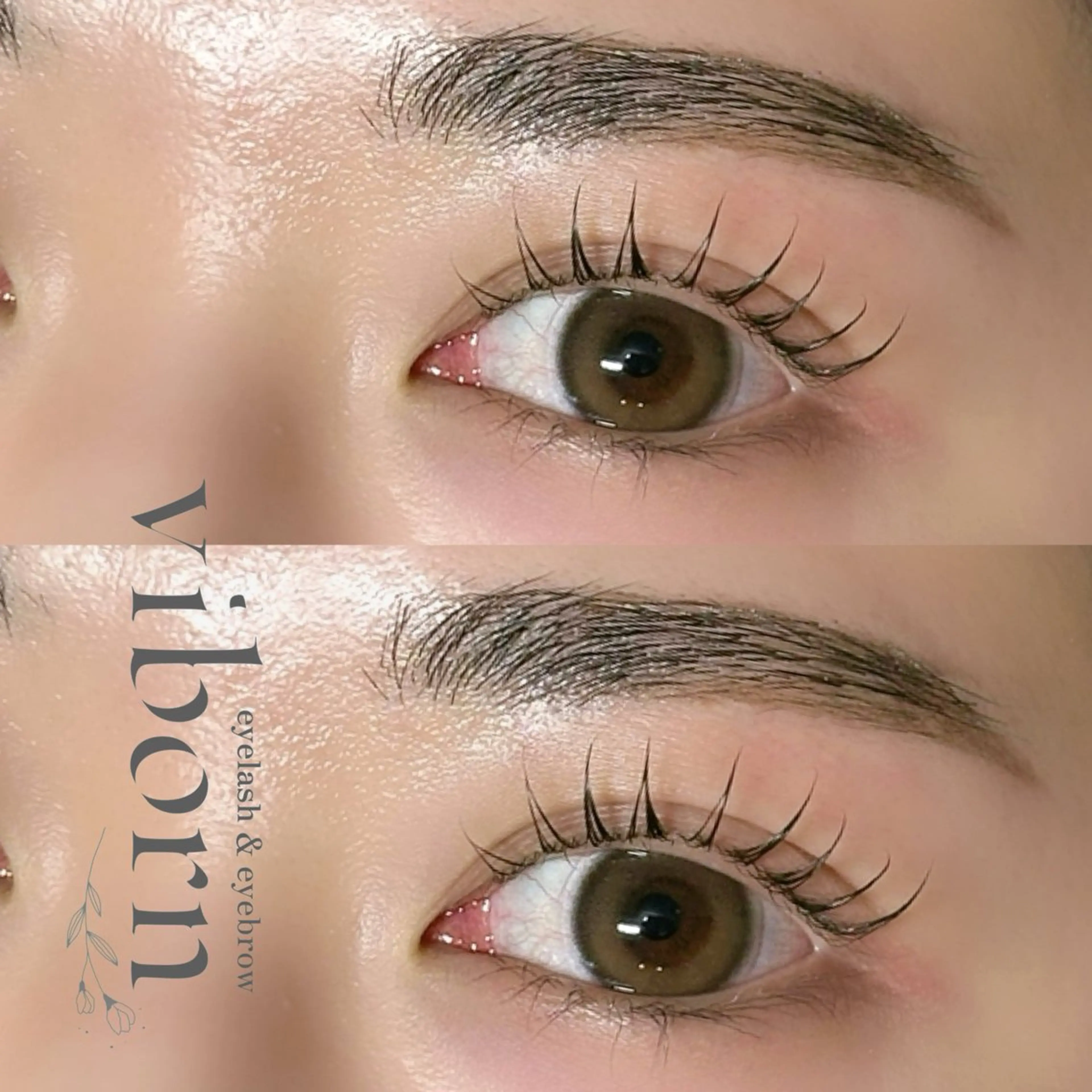 平日限定🖤まつ毛パーマ+ハリウッドブロウリフト🖤の写真