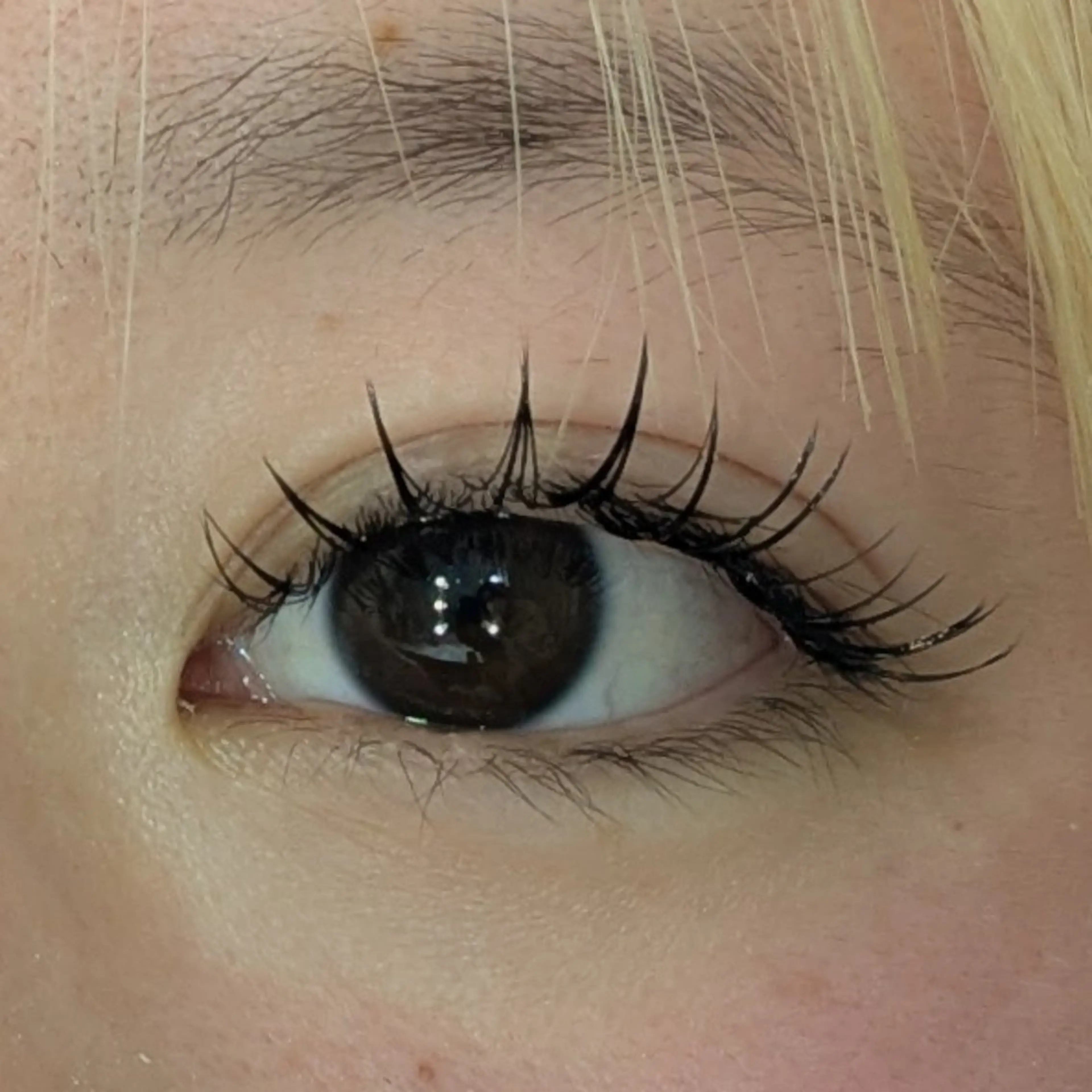 マツエク・マツパ 多田 遥香のヘアスタイル