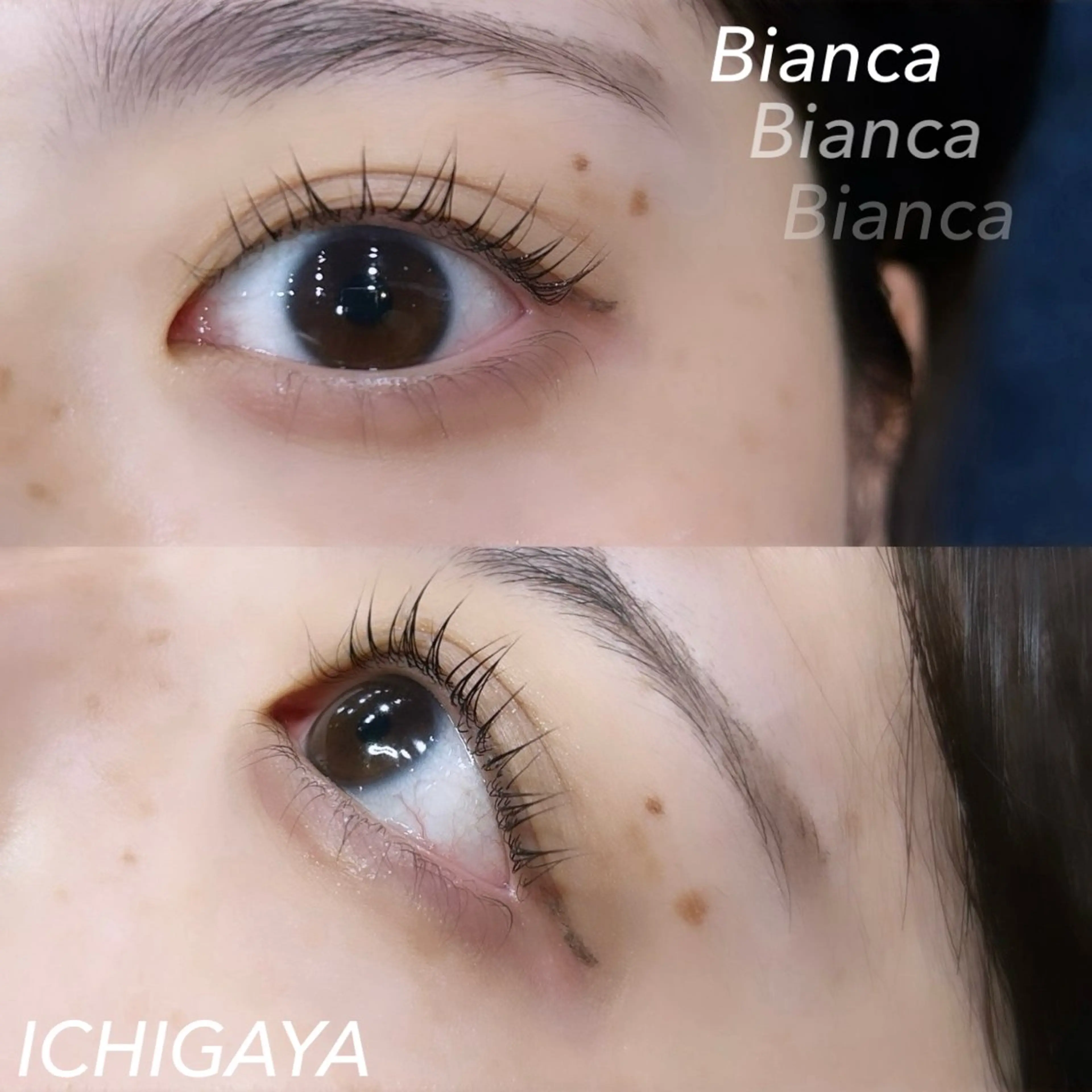 マツエク・マツパ フラットラッシュ ナチュラル パリジェンヌラッシュリフト まつげパーマ マツパ Kuu+R 亀戸のマツエク・マツパデザイン