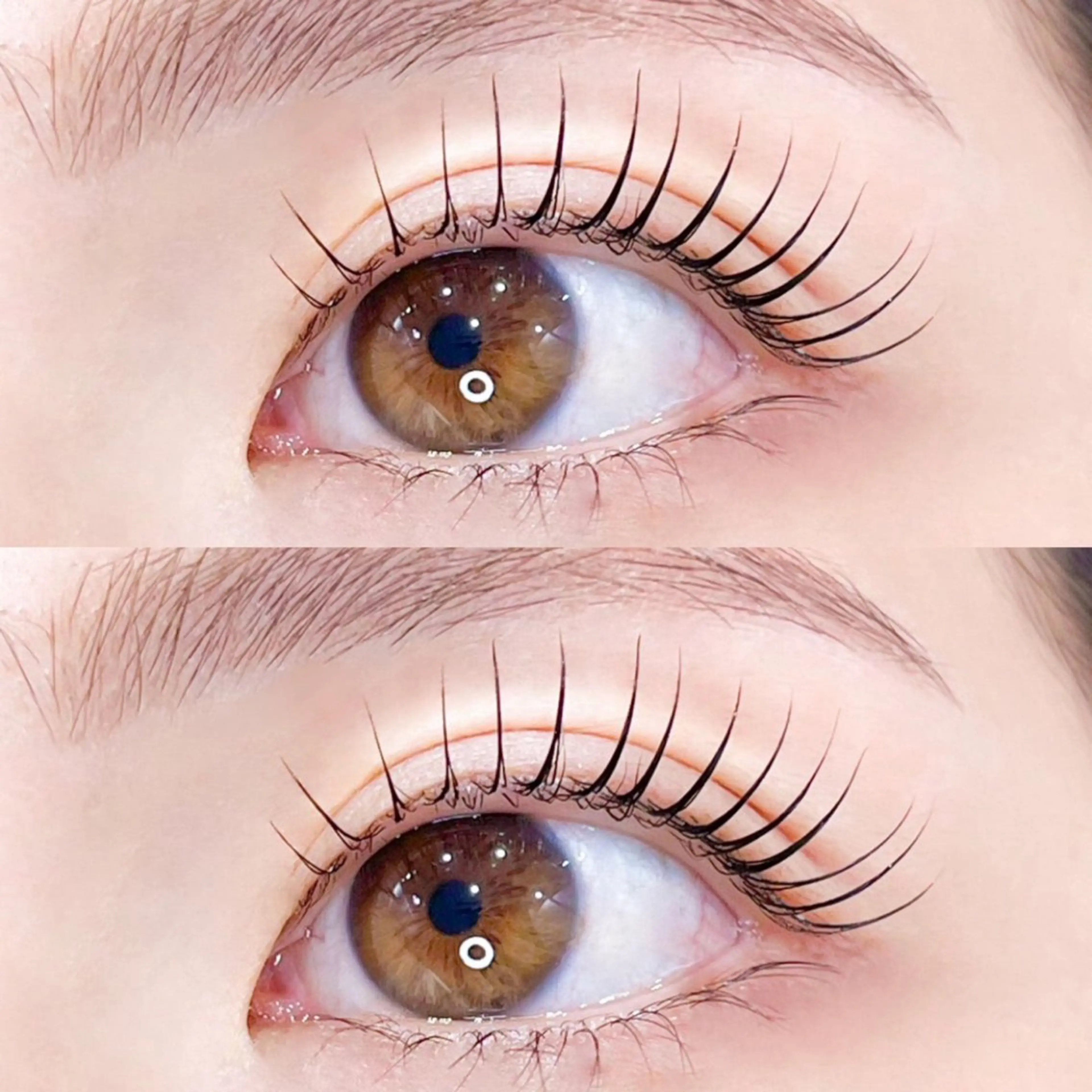 パリジェンヌラッシュリフト👀(美容液仕上げ)の写真