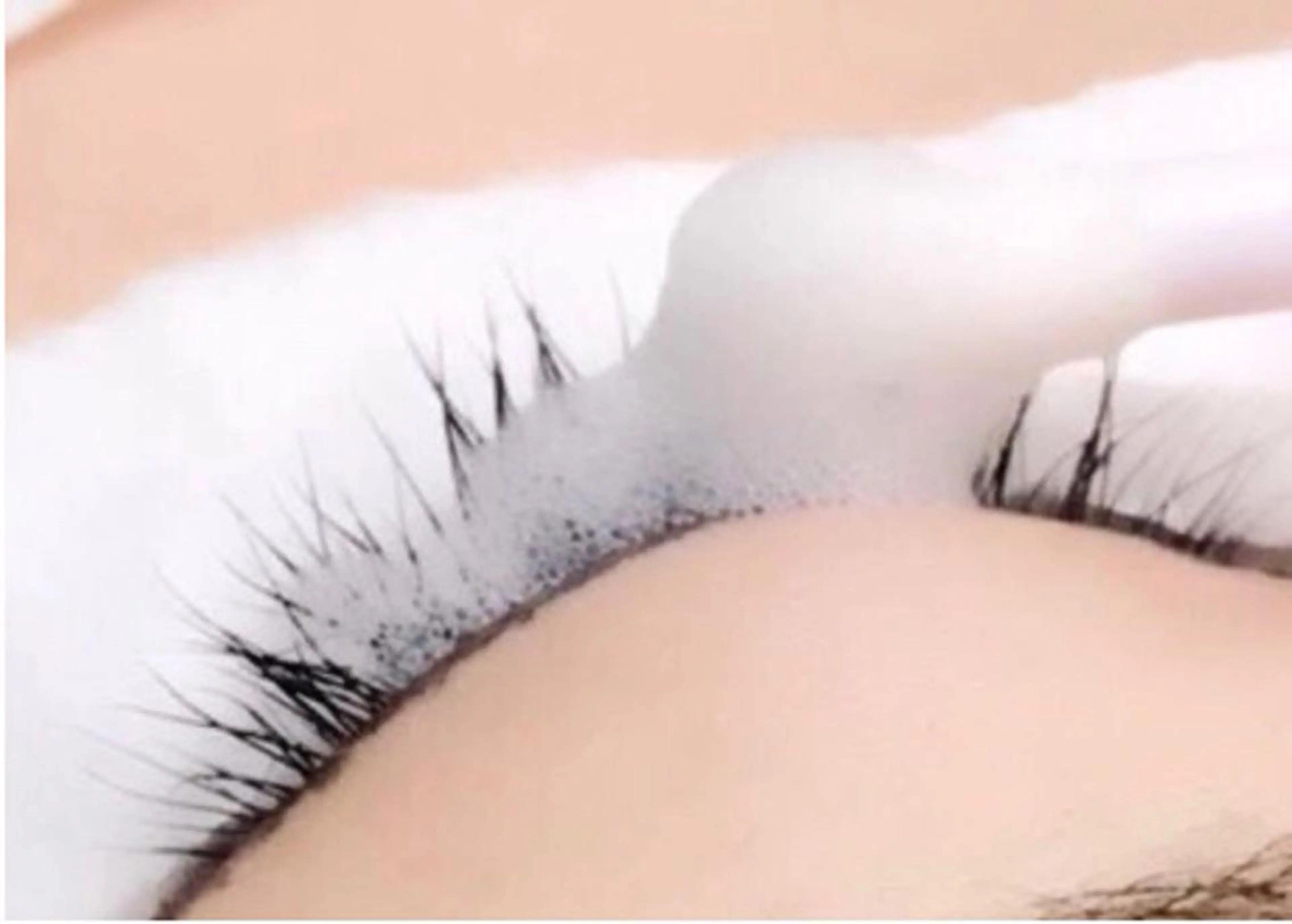 アイシャンプーのみの写真