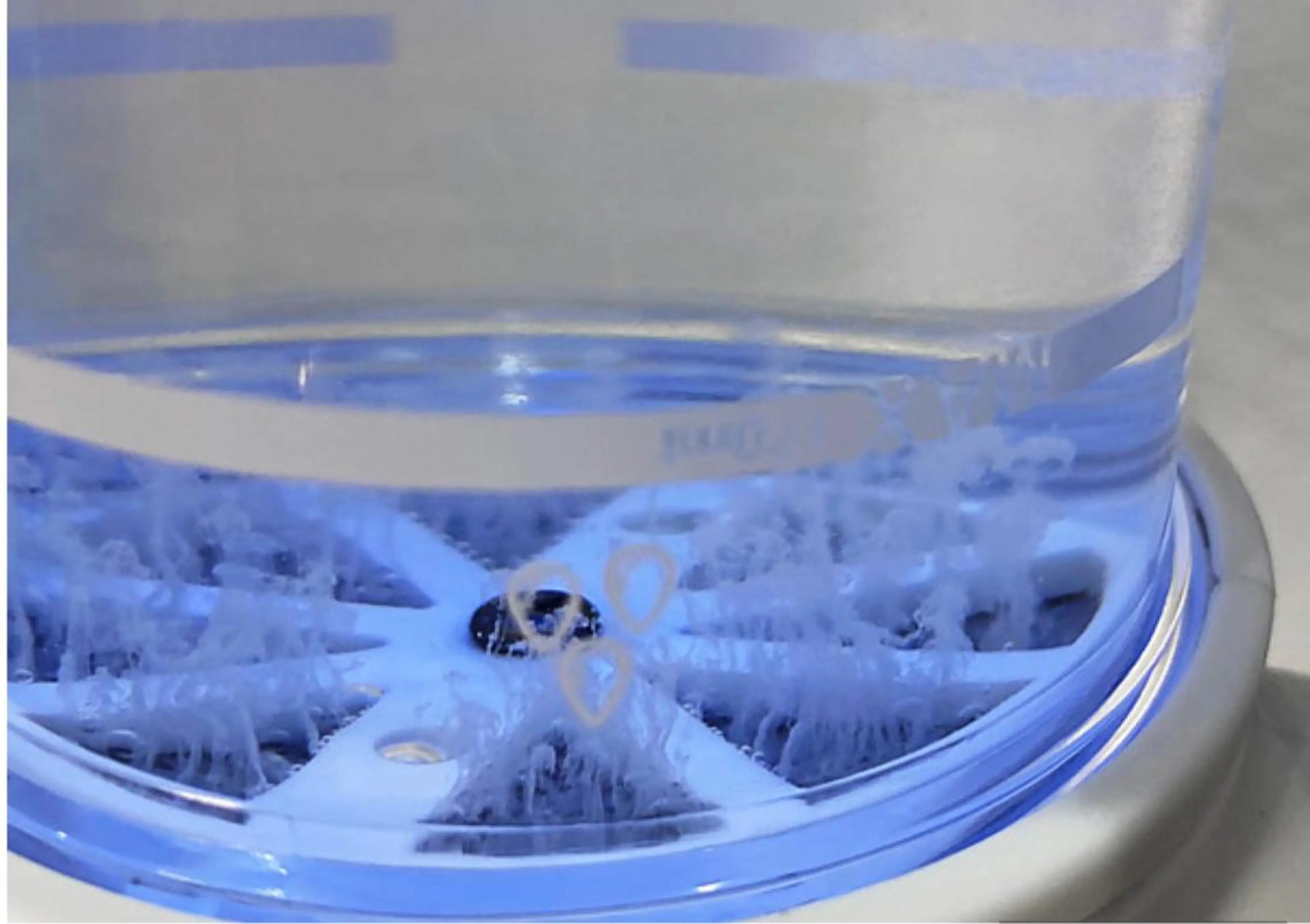 エステ TRINIENCE 南流山店のエステ・リラクイメージ