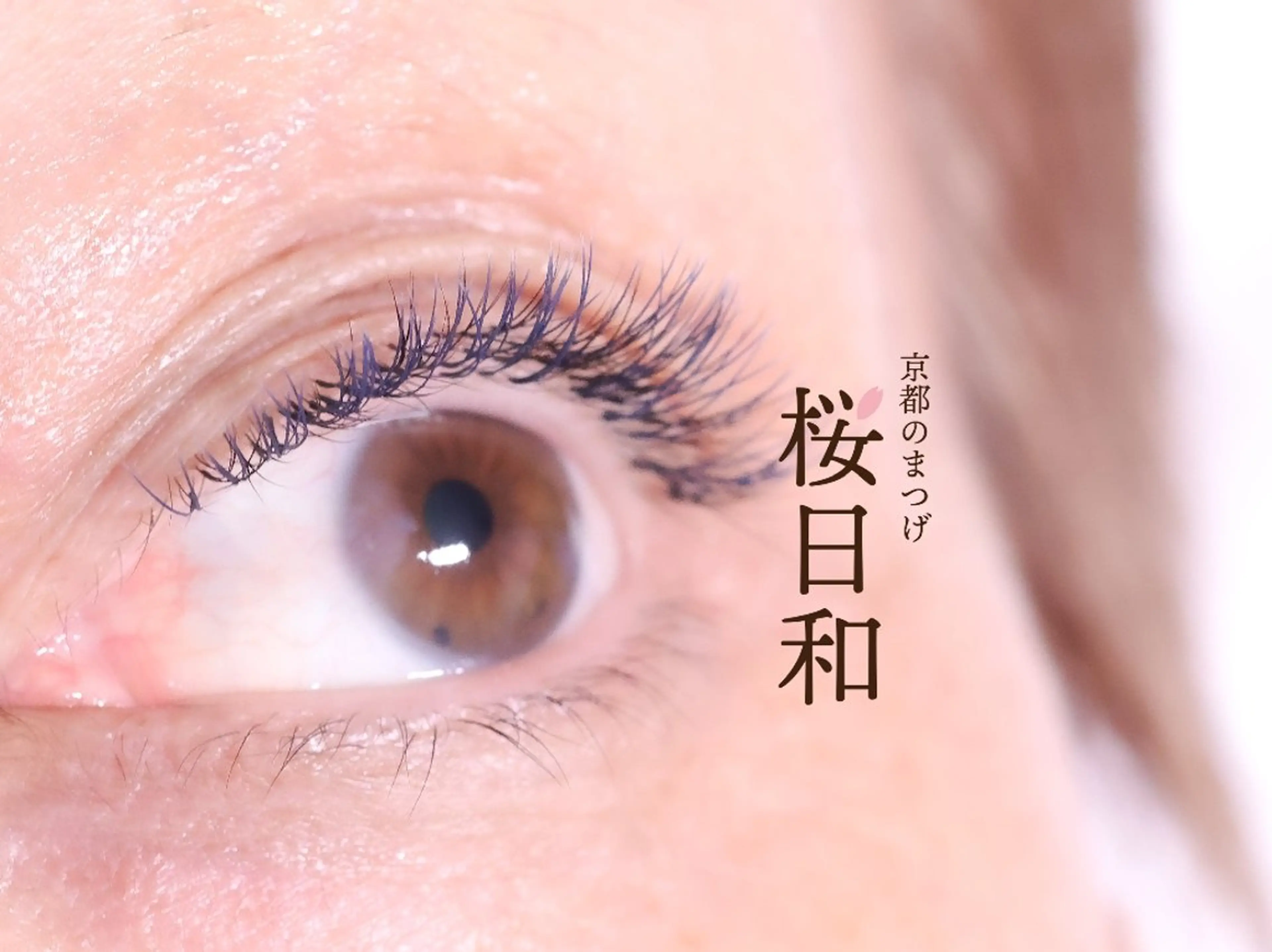 マツエク・マツパ ナチュラル マツエク 京都のまつげ桜日和 小島美桜のマツエク・マツパデザイン