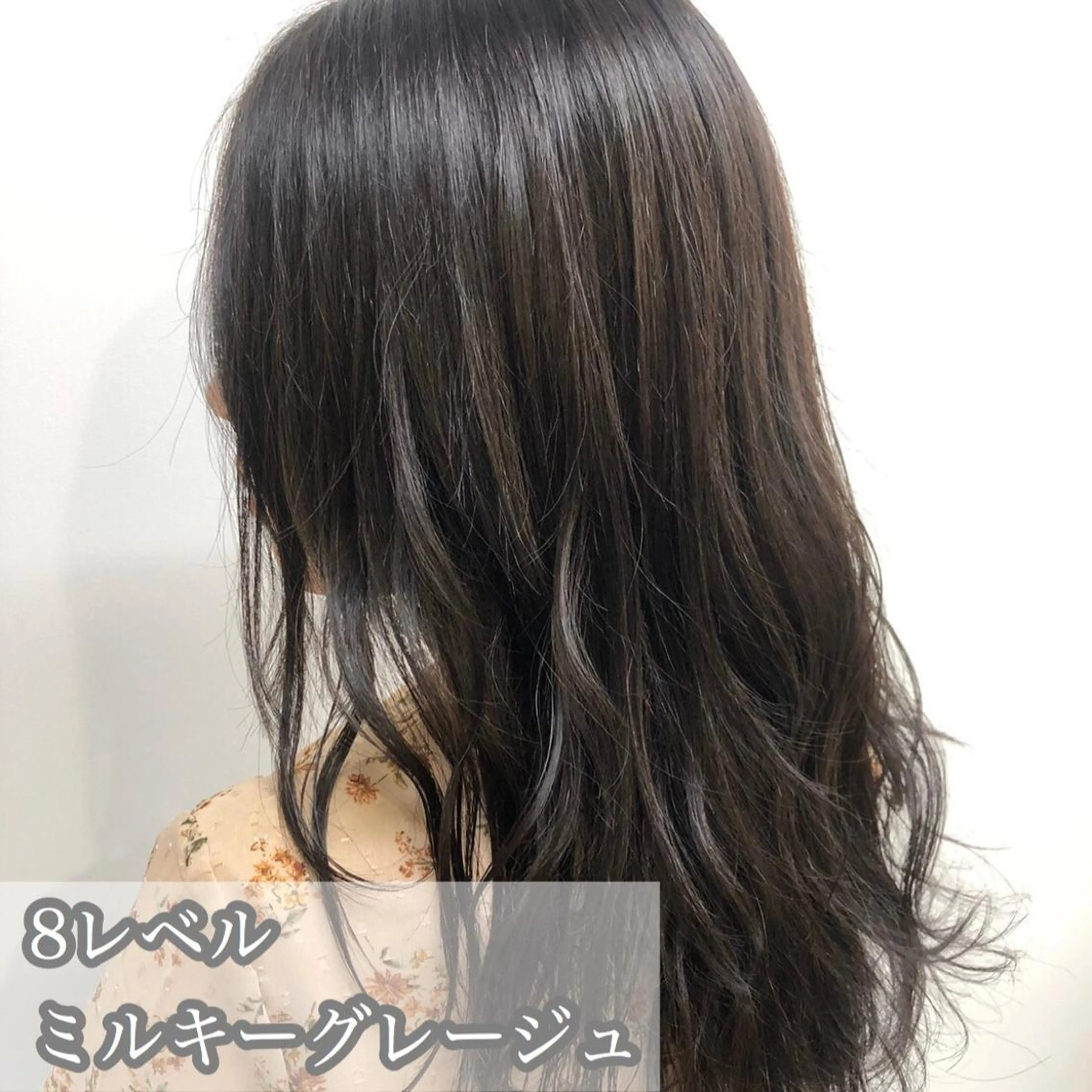 ショート カラー 透明感カラー グレージュ 🦋韓国レイヤー｜ 透明感グレージュ🦋のヘアスタイル