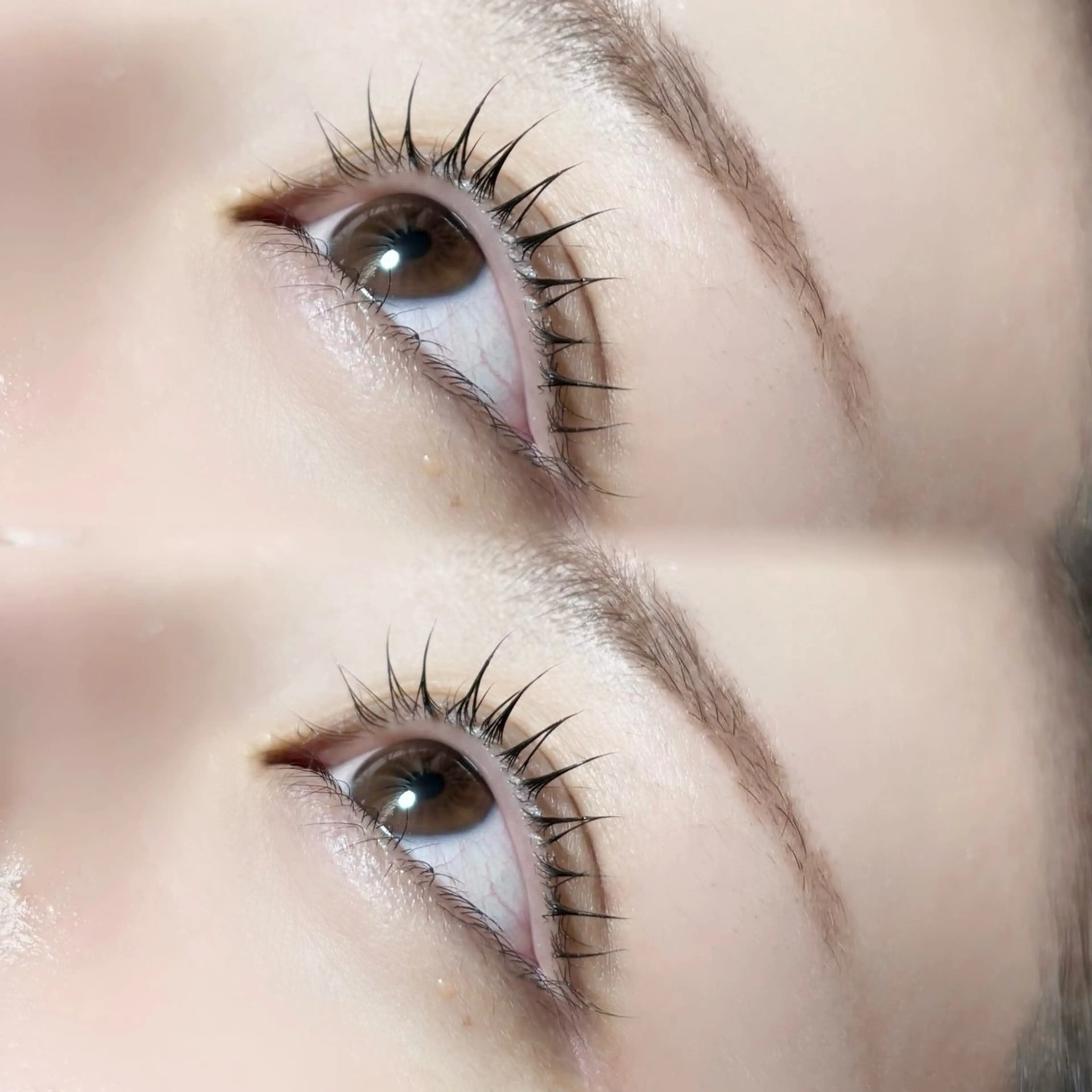 マツエク・マツパ 似合わせマツエク まつパ🤎ほのりのマツエク・マツパデザイン