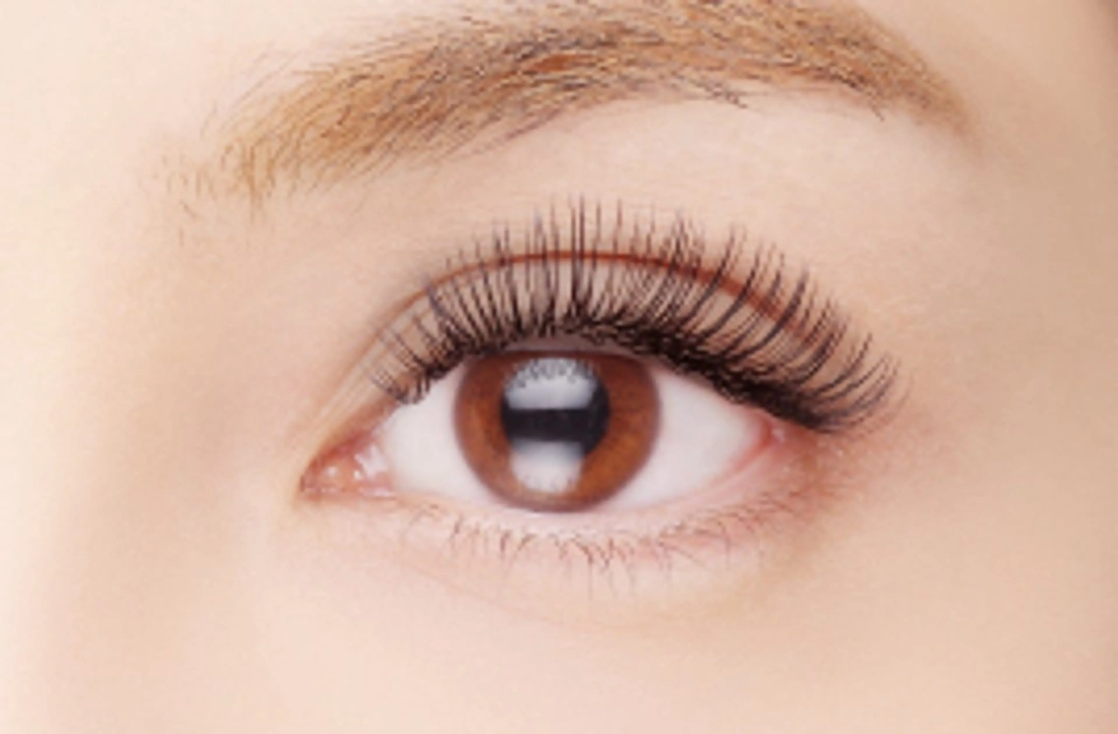 バインドロック80束の写真