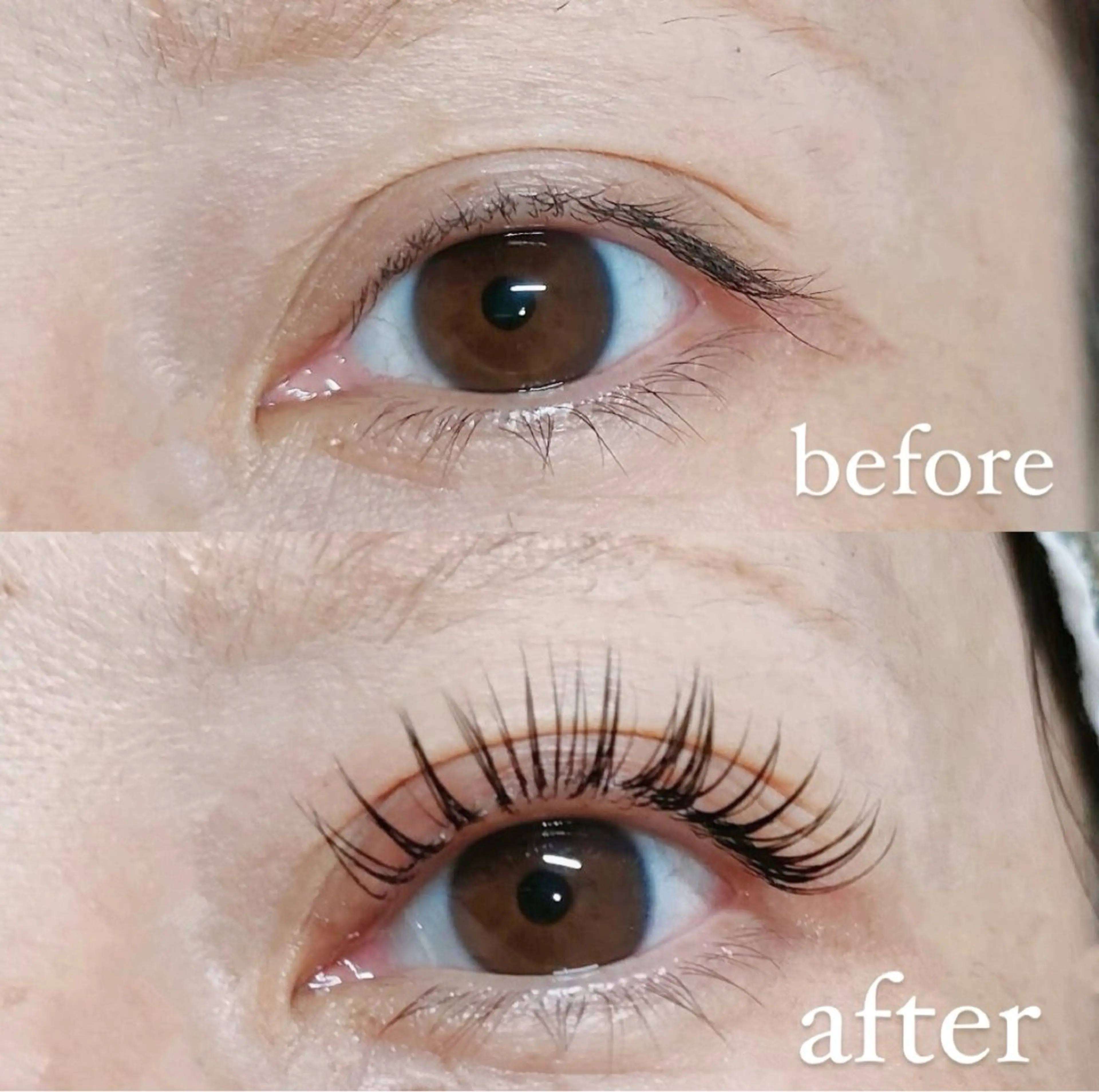 マツエク・マツパ Froh Ogasawaraのマツエク・マツパデザイン