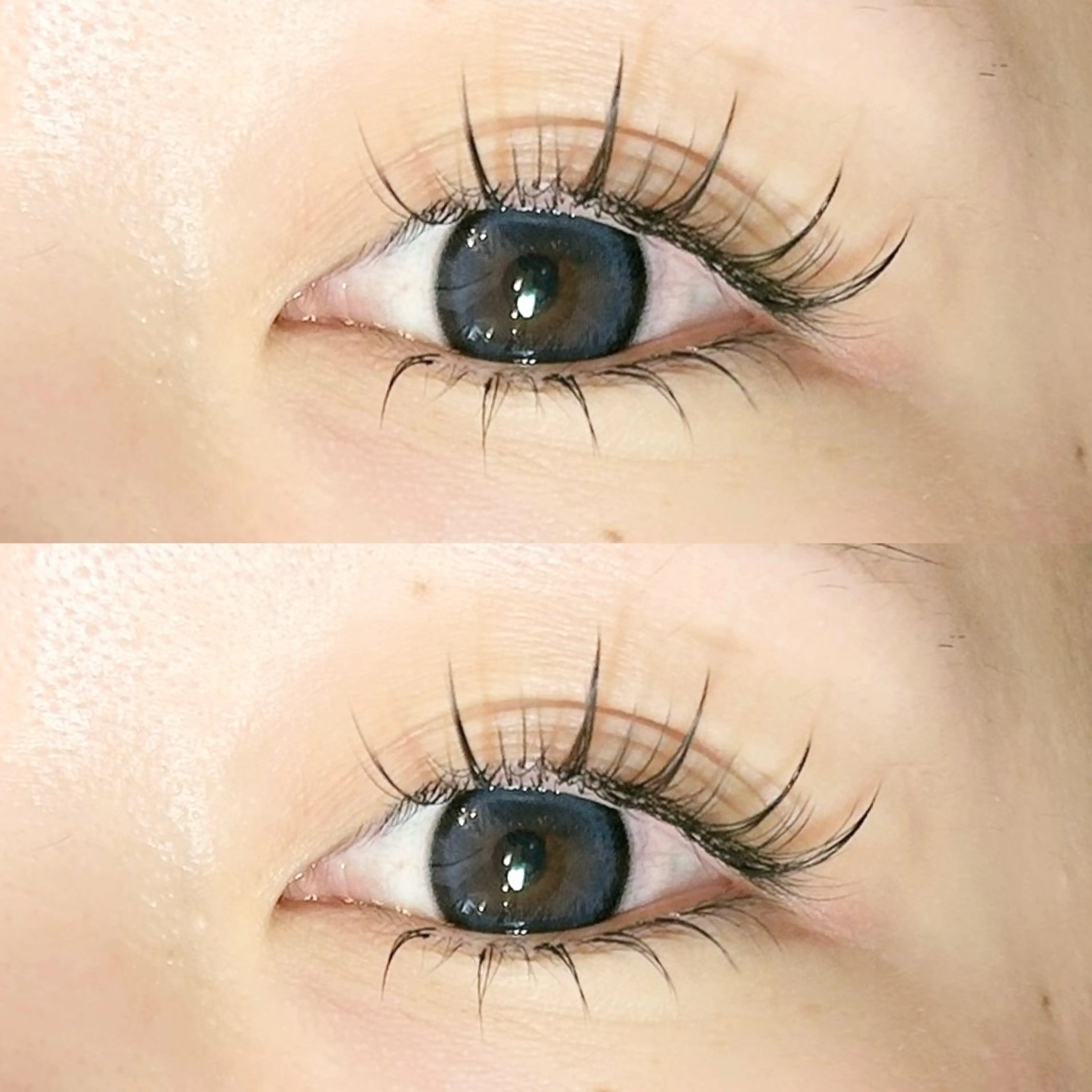 マツエクリペア🔶¥4000の写真