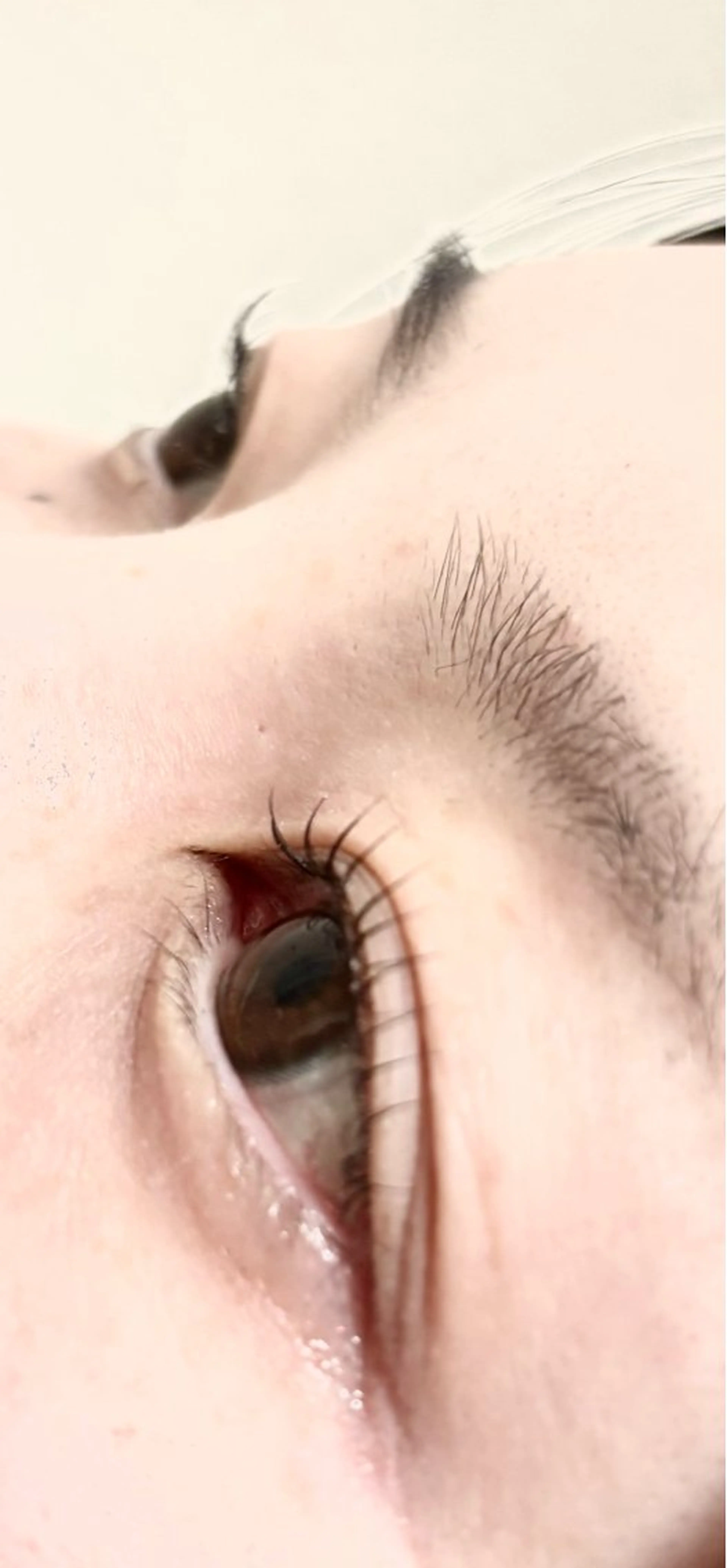 ラッシュリフト★高濃度ケラチントリートメント＆アイシャンプー付きの写真