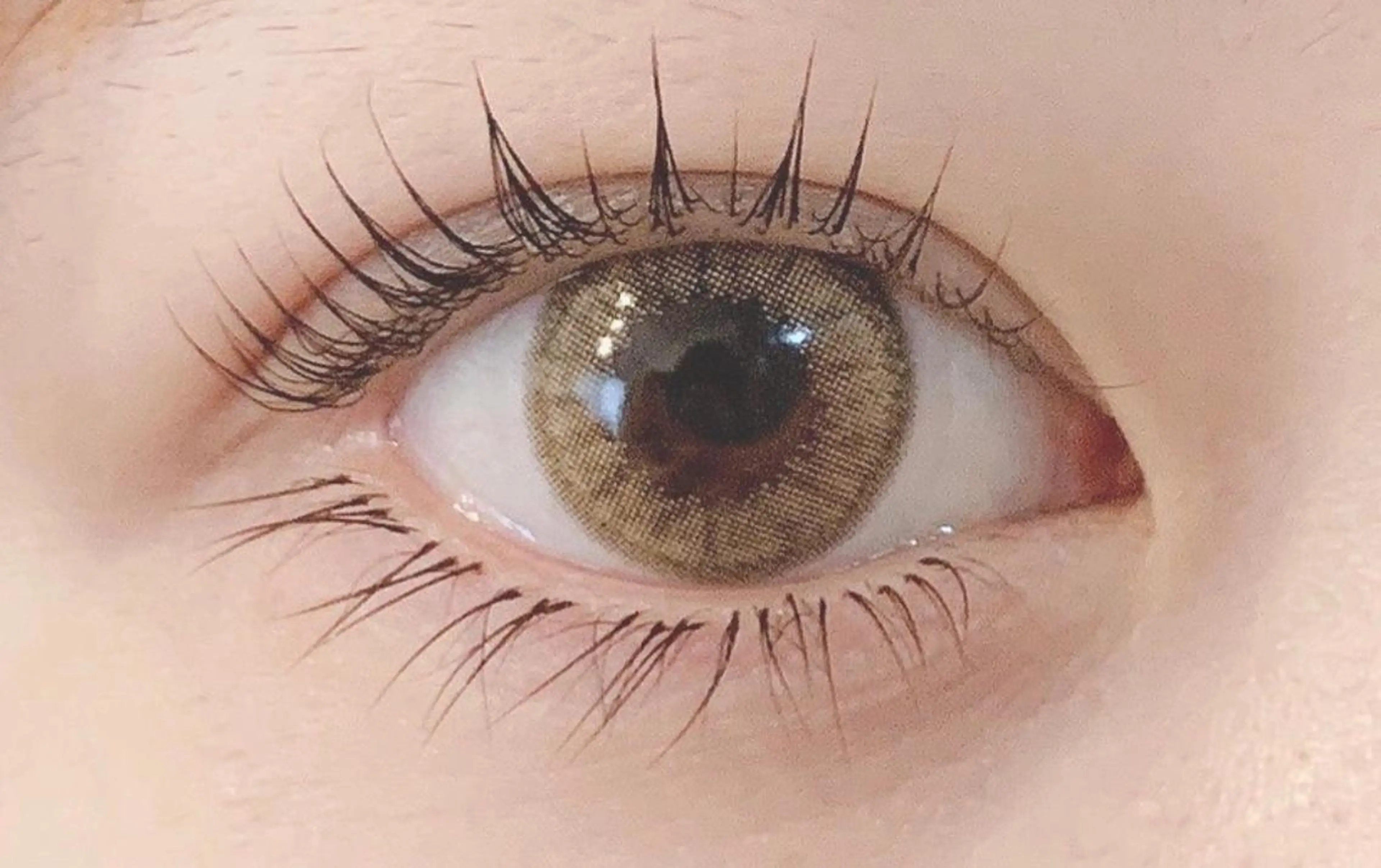 マツエク・マツパ フラットラッシュ パリジェンヌラッシュリフト Nao /博多/ パリジェンヌ/まつパのマツエク・マツパデザイン