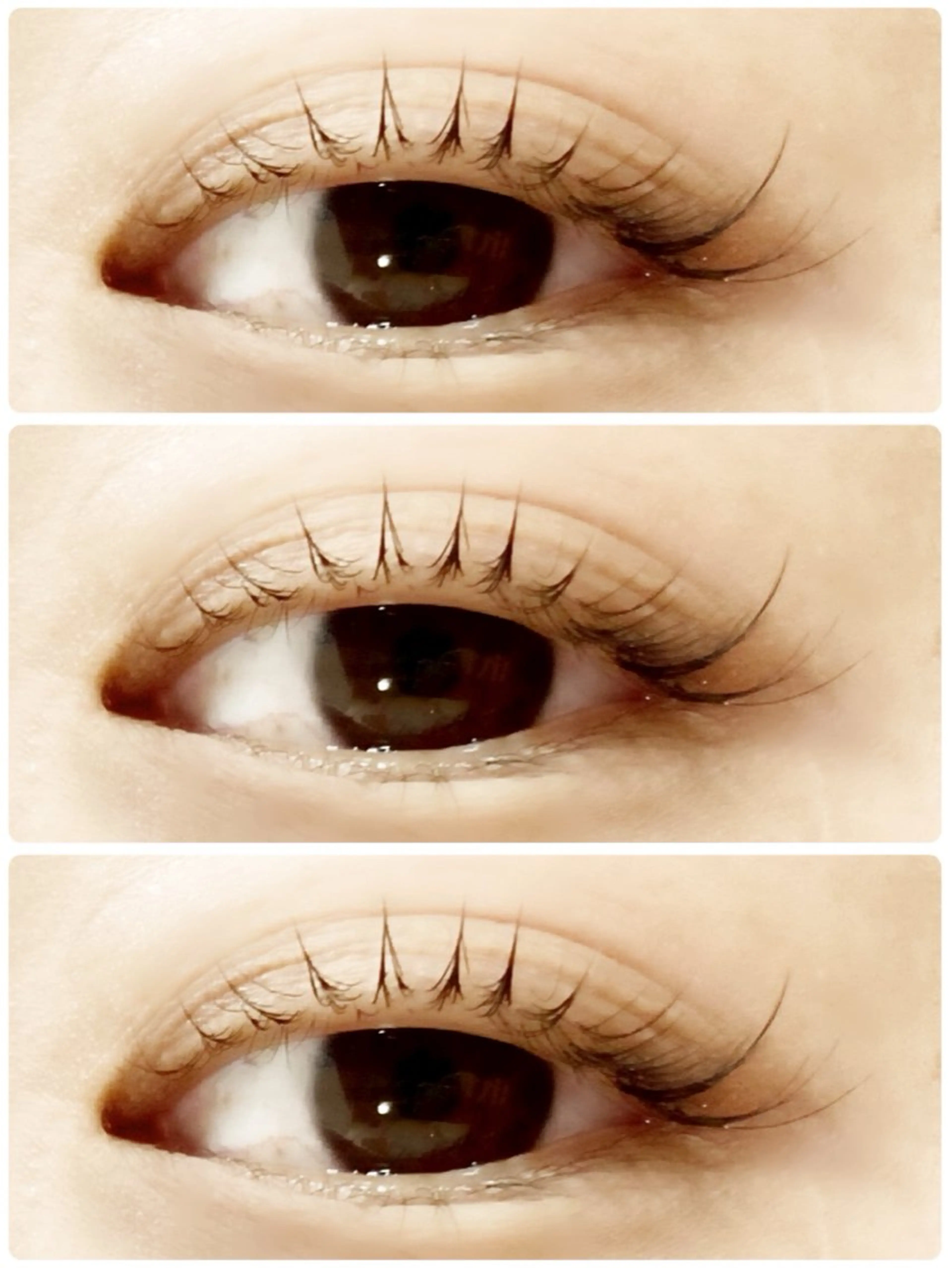 マツエク・マツパ LAZOS🌈 アイリストYUKAのマツエク・マツパデザイン