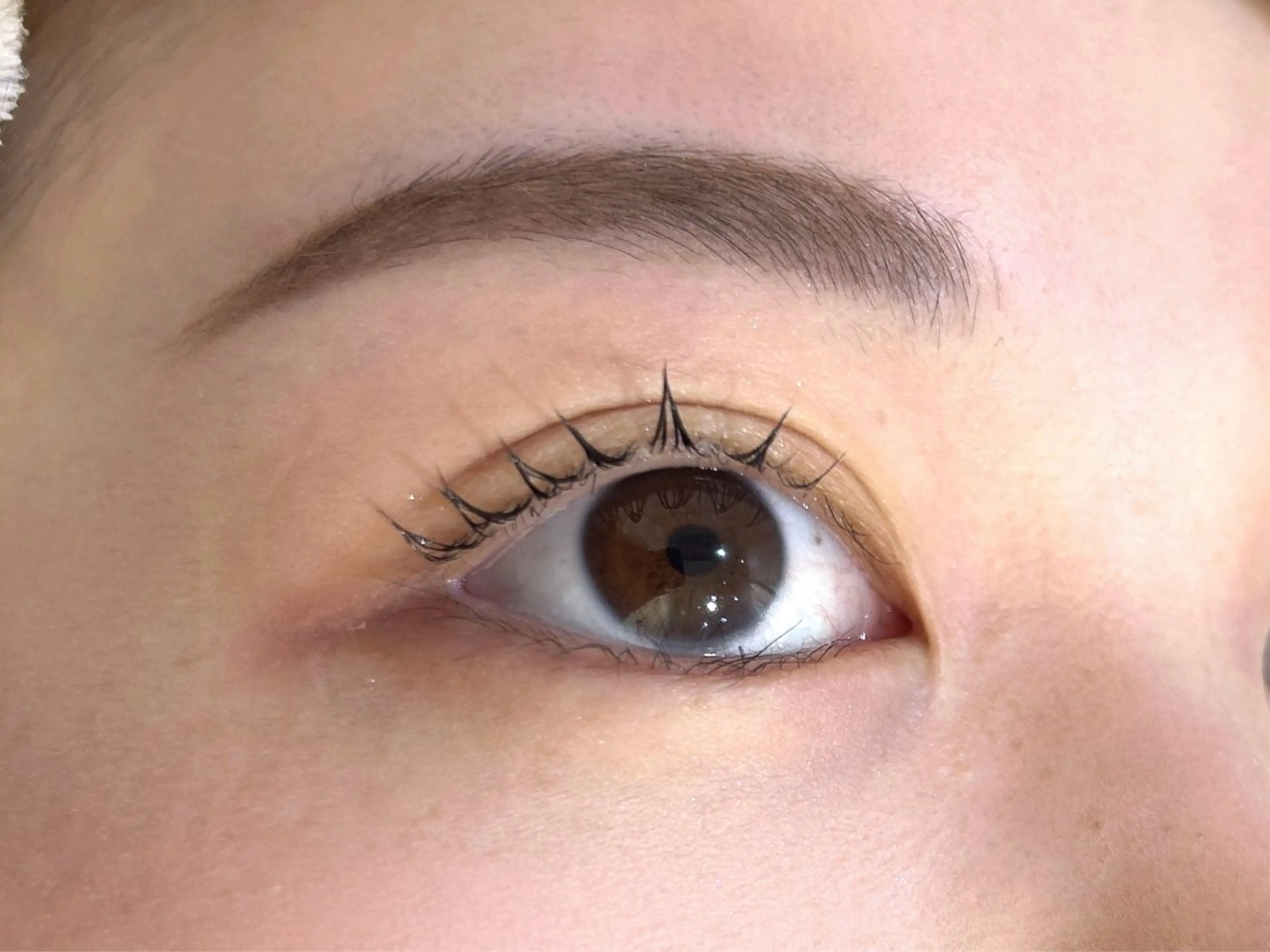 マツエク・マツパ マツパ 石井 侑多のマツエク・マツパデザイン