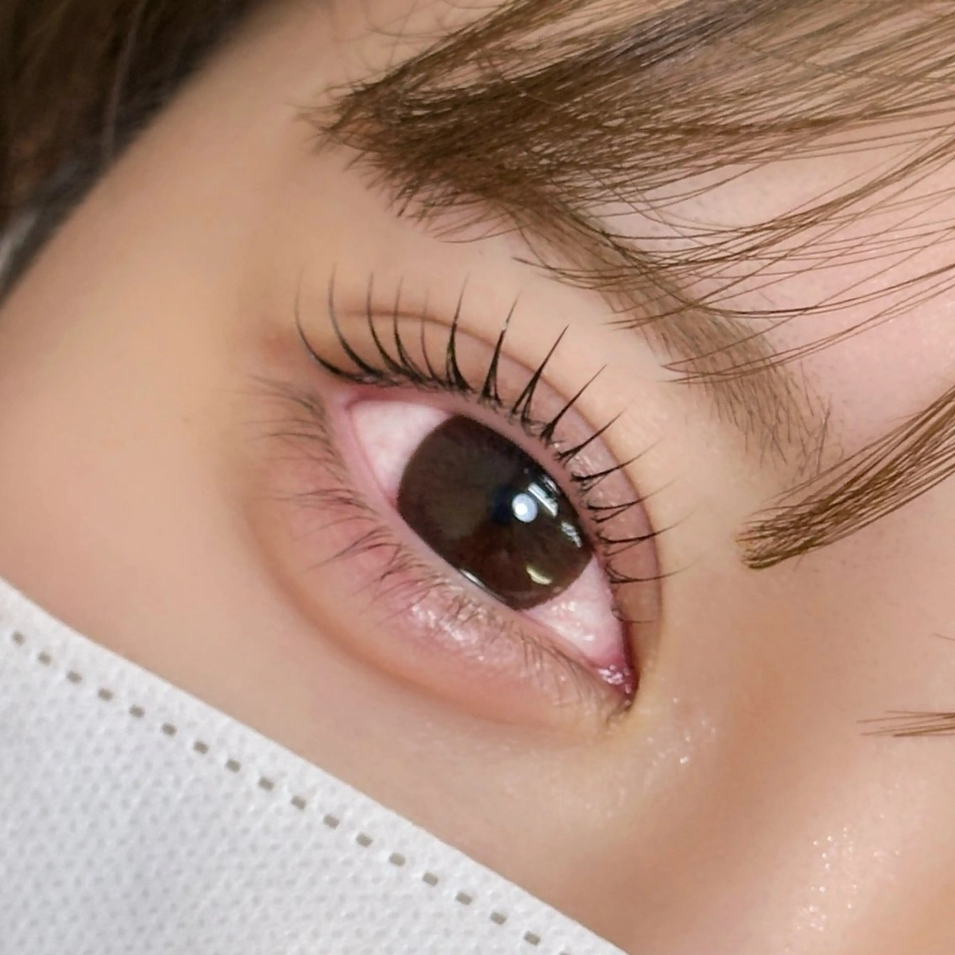 【人気No.1🪡‎🤍】選べるまつ毛パーマ🎀パリジェンヌorラッシュリフトorまつげカール※土日祝＋500円の写真