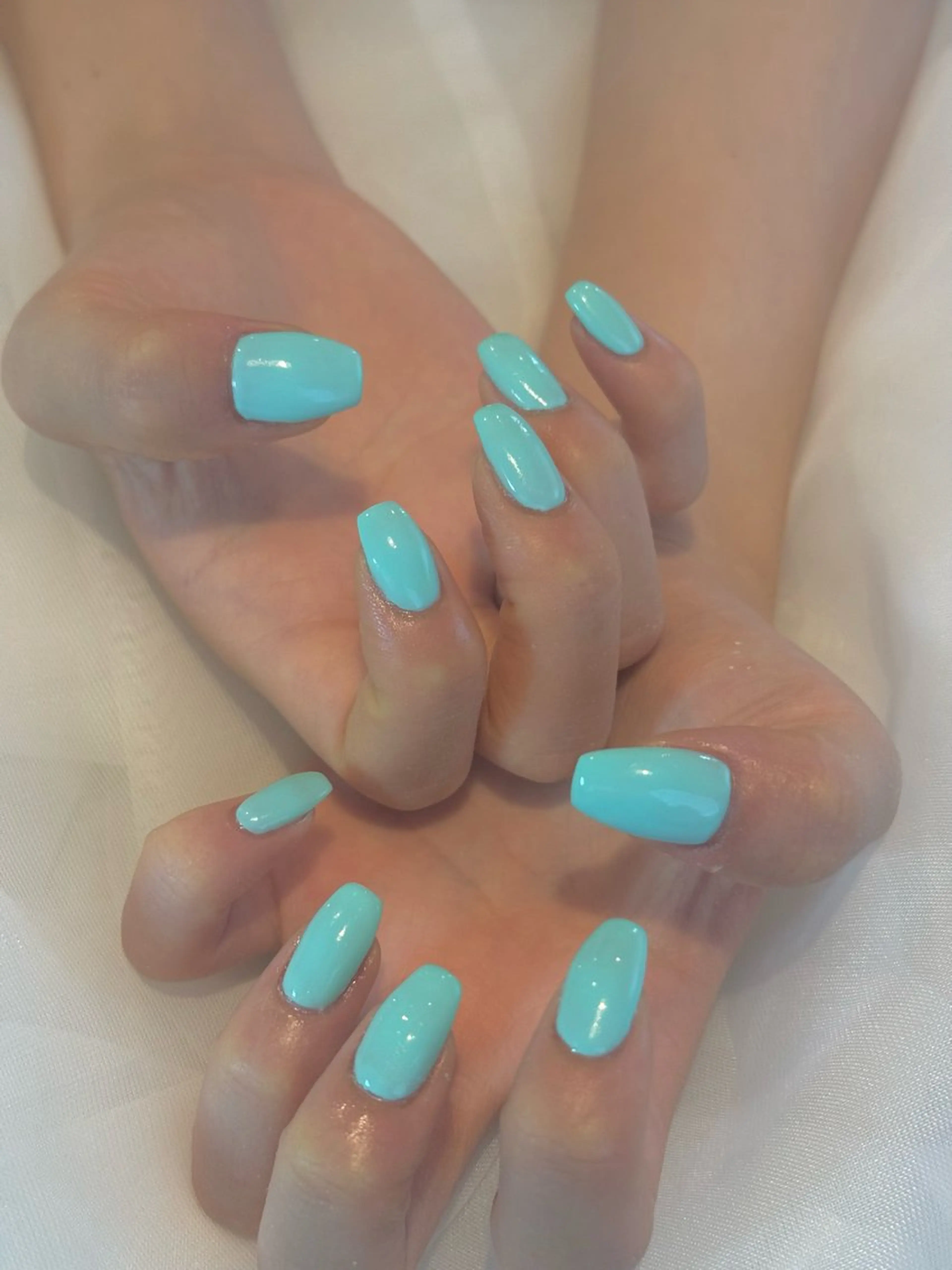 ワンカラーの写真