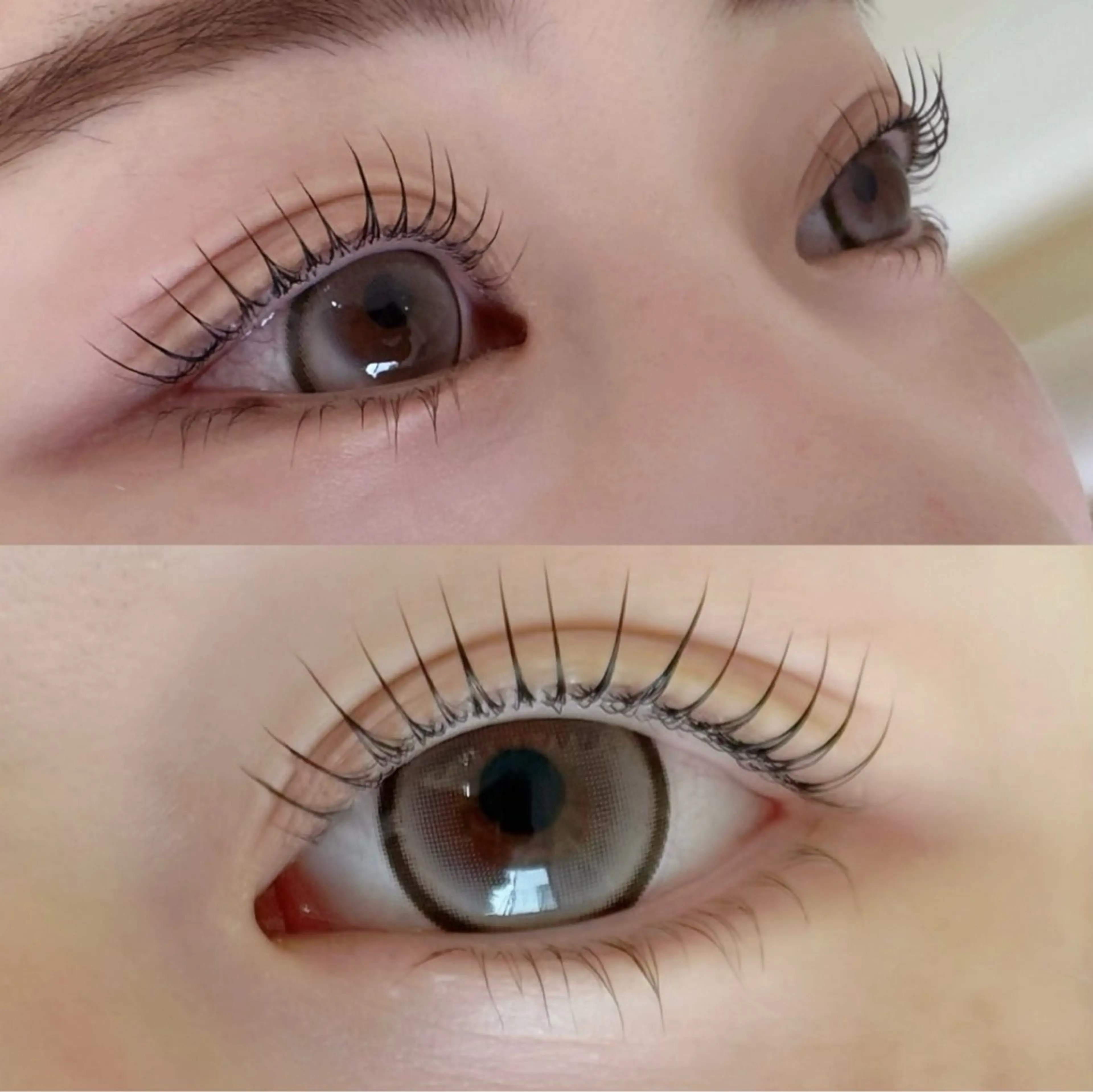 💙上下ラッシュリフト💙の写真