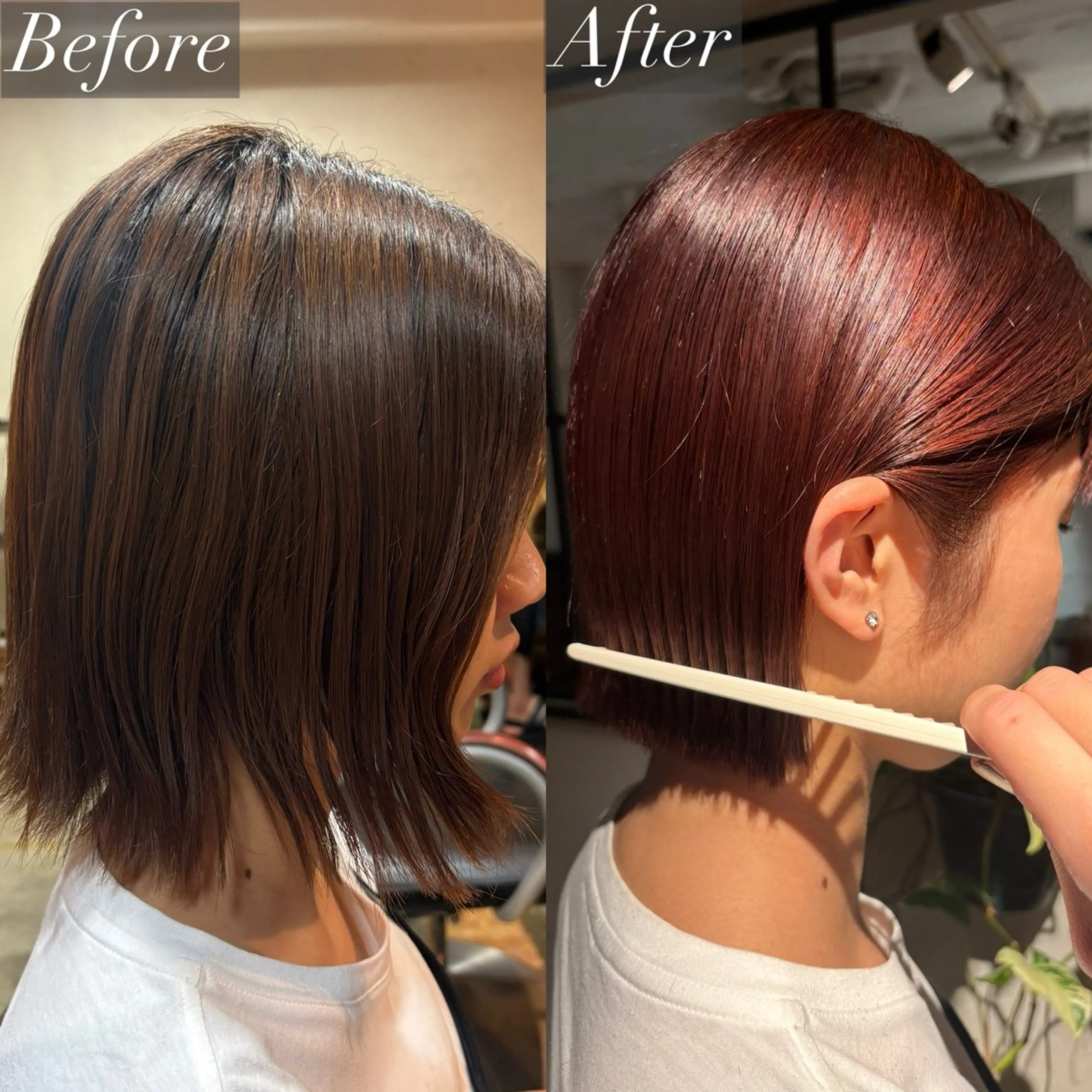 ミディアム カラー ⌇🌹透明感カラー 🌹ᴍᴇɢᴜᴍɪ ⌇のヘアスタイル