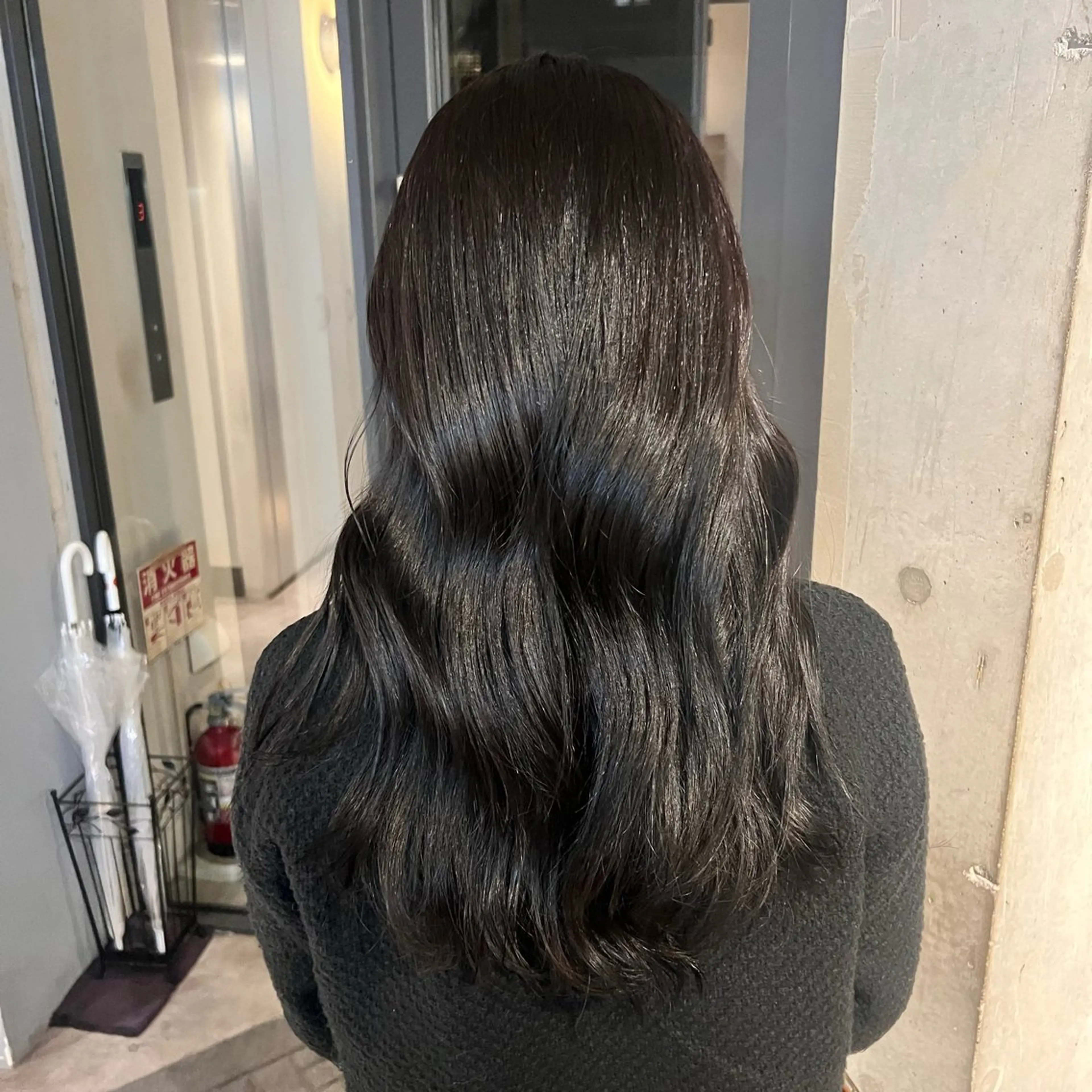 ✨人気No. 1✨エドルカラー ＋ 🫧うるつやトリートメント🫧(1step)の写真