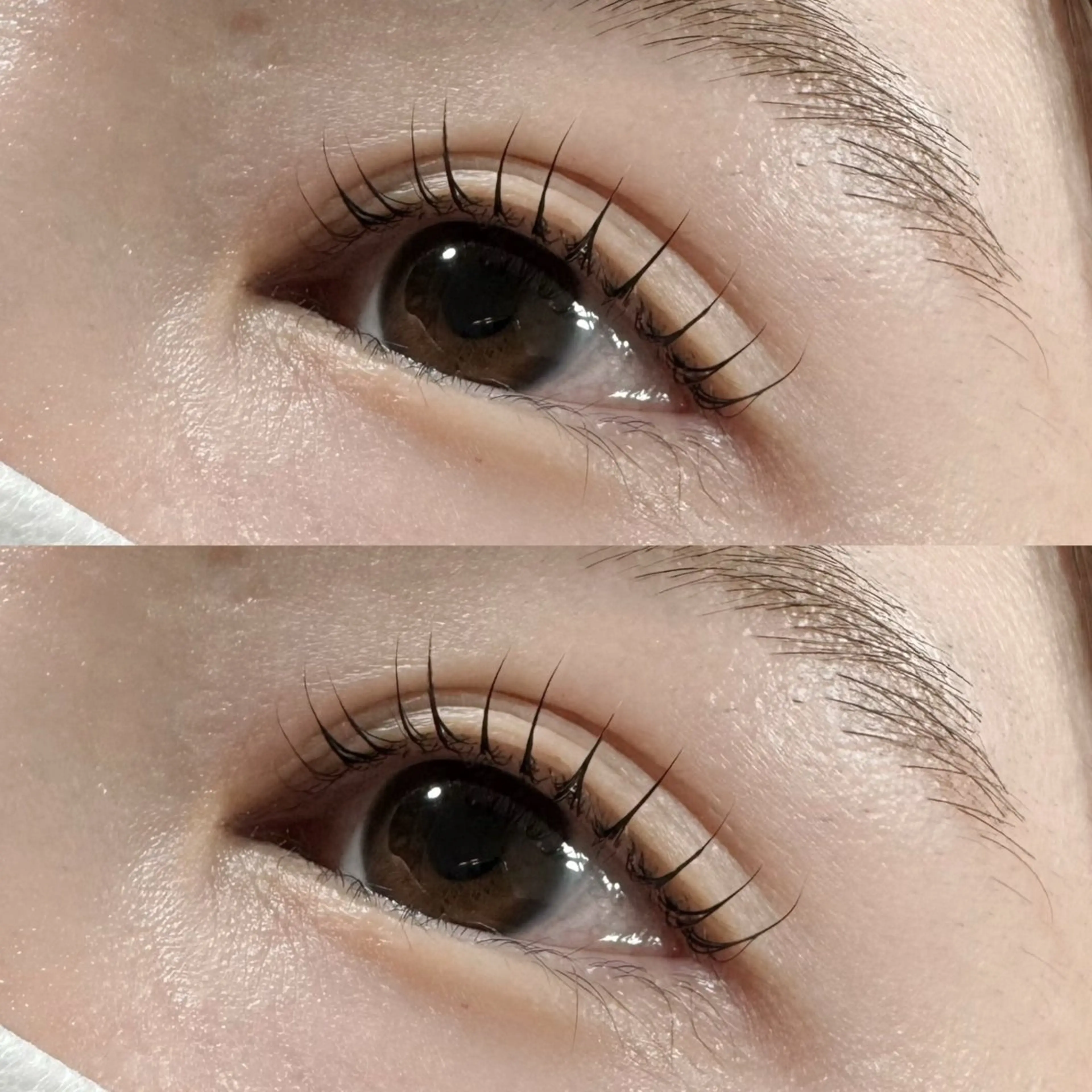 マツエク・マツパ マツパ マリーテレジア/ MOCHIZUKIのマツエク・マツパデザイン