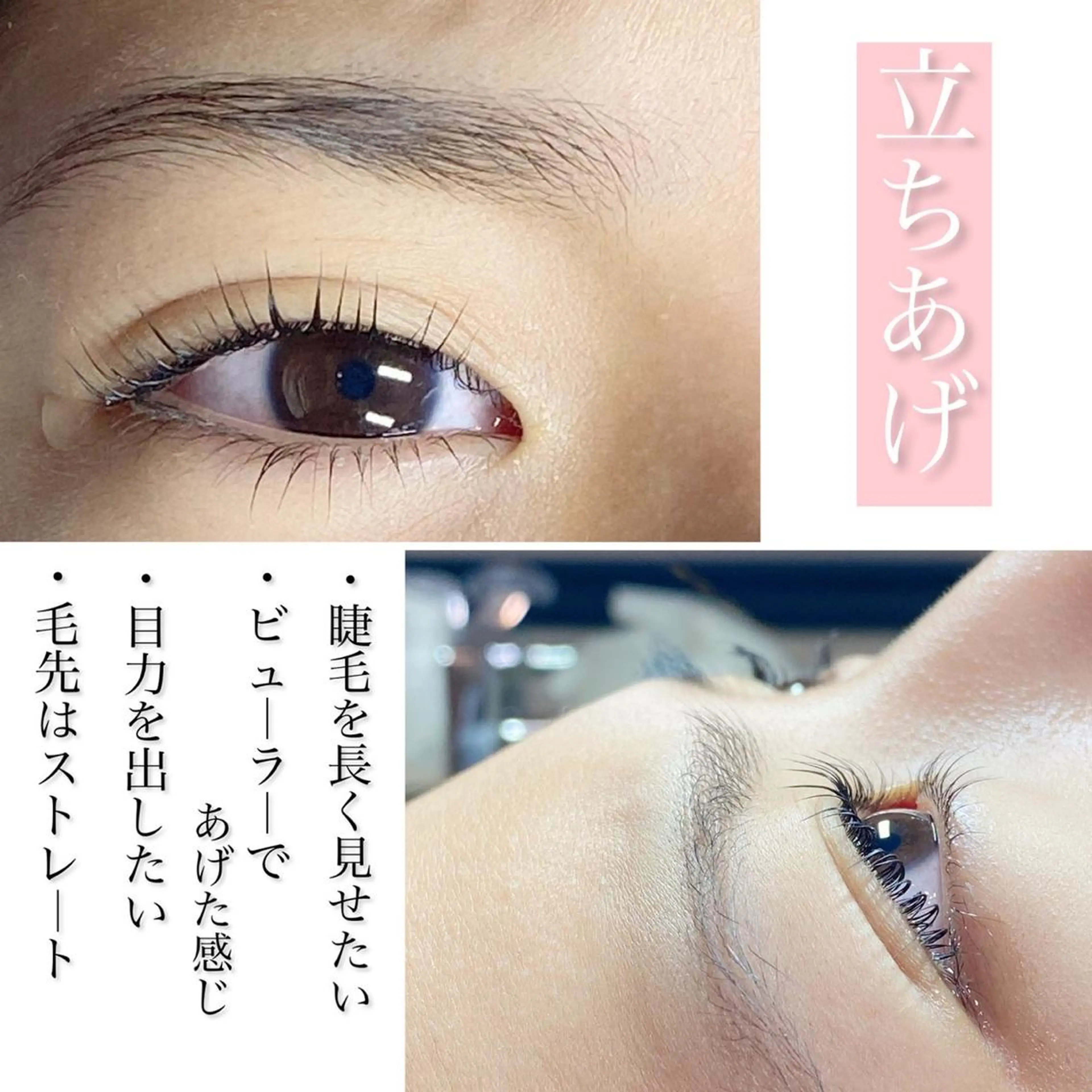 マツエク・マツパ lash mary RISA🌼の眉毛・アイブロウイメージ