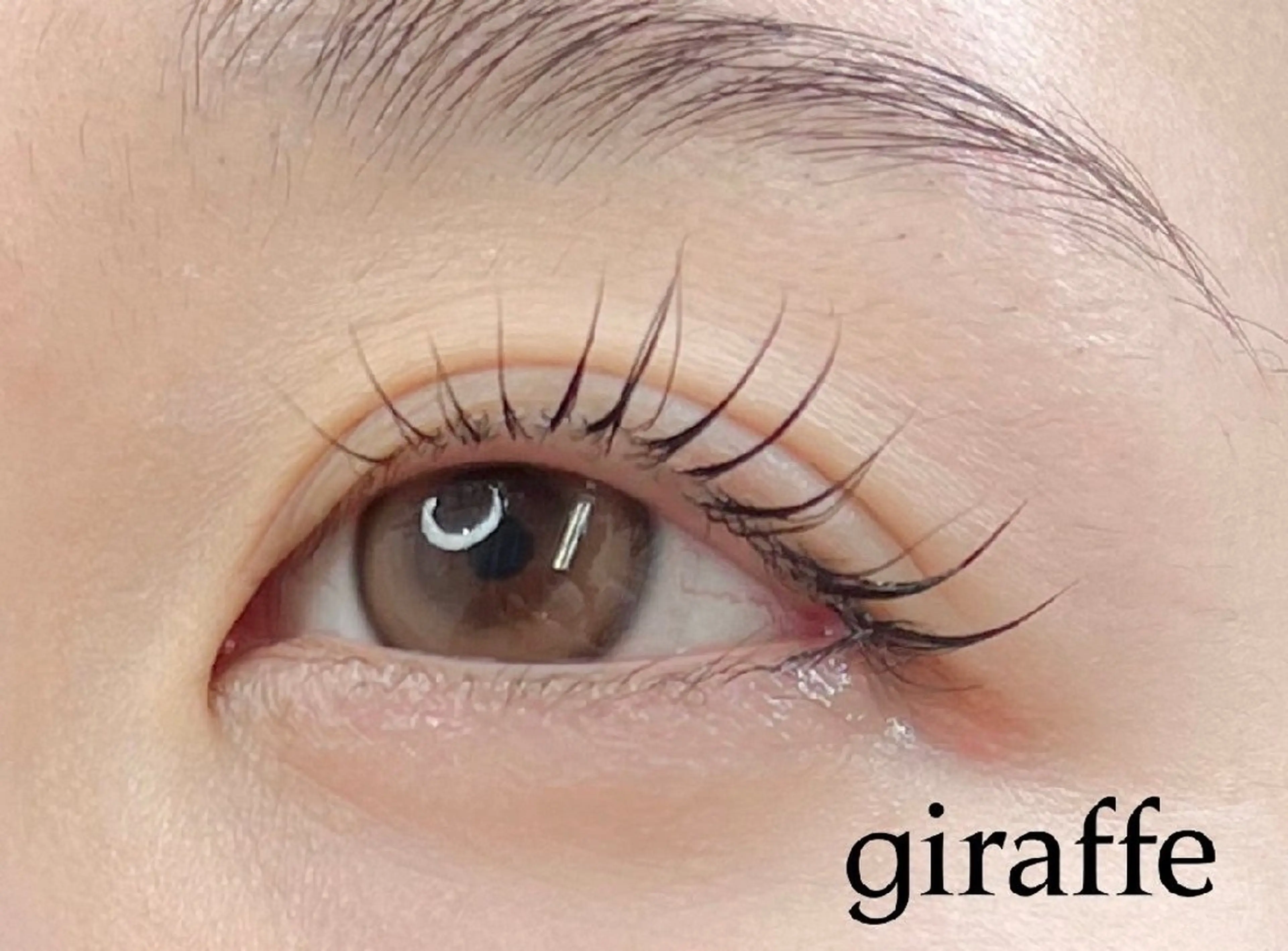 マツエク・マツパ giraffe   💎camel のマツエク・マツパデザイン