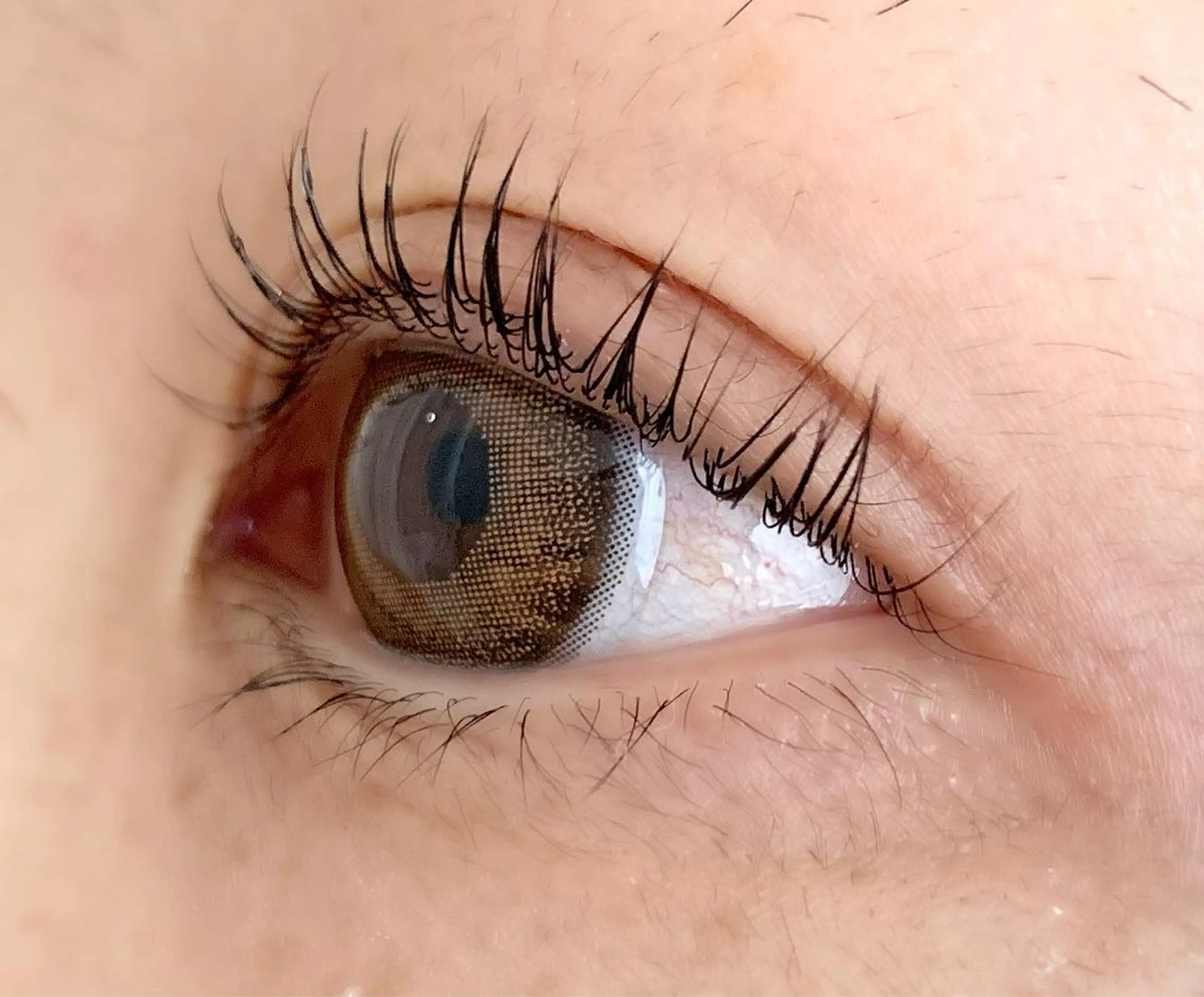 マツエク・マツパ Lカール MI YA𑁍𓏸𓈒のマツエク・マツパデザイン