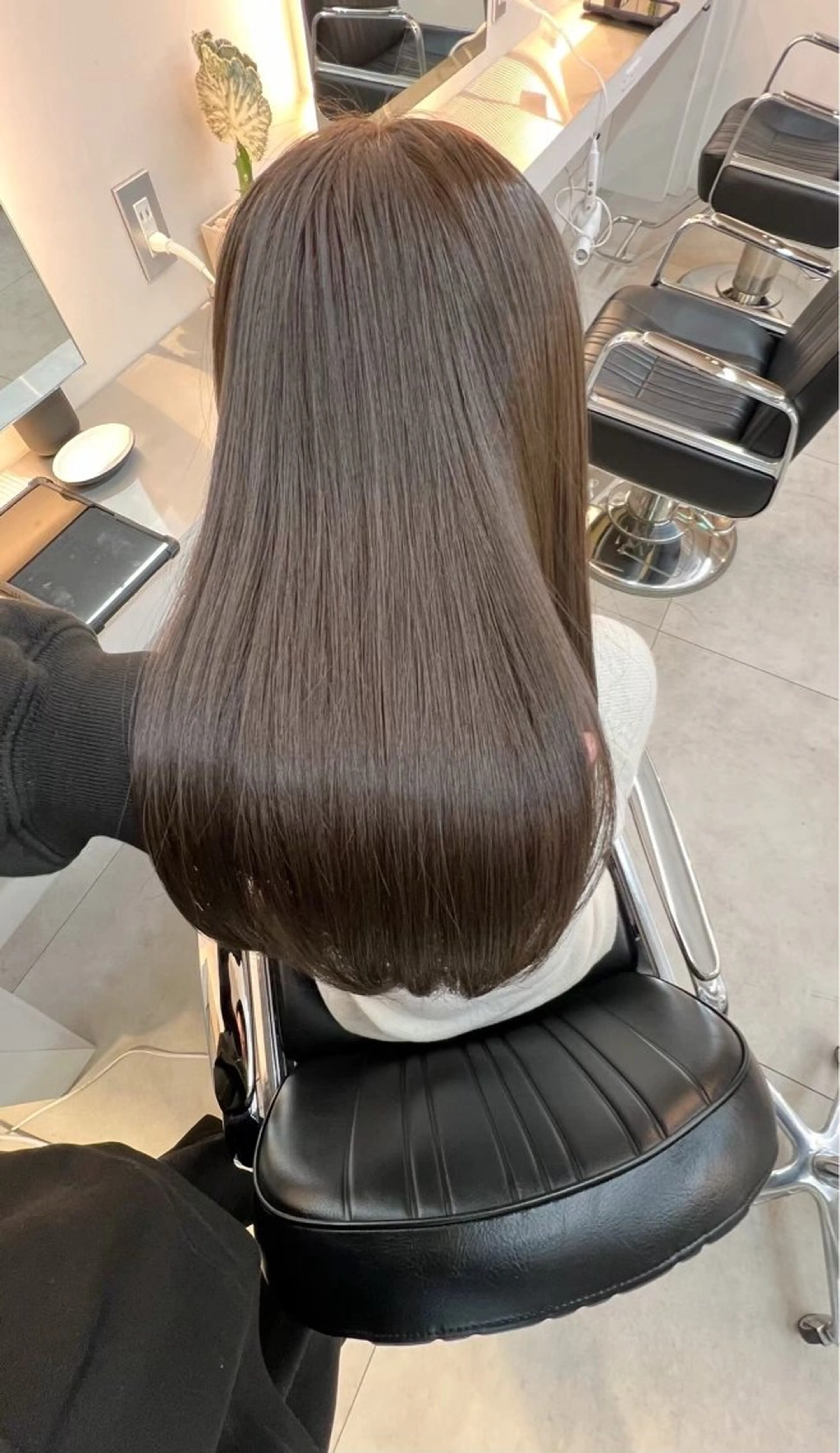 【グレイカラー】白髪染め➕トリートメント✨️白髪が気になる悩みがある方へ 5月7日〰️の写真