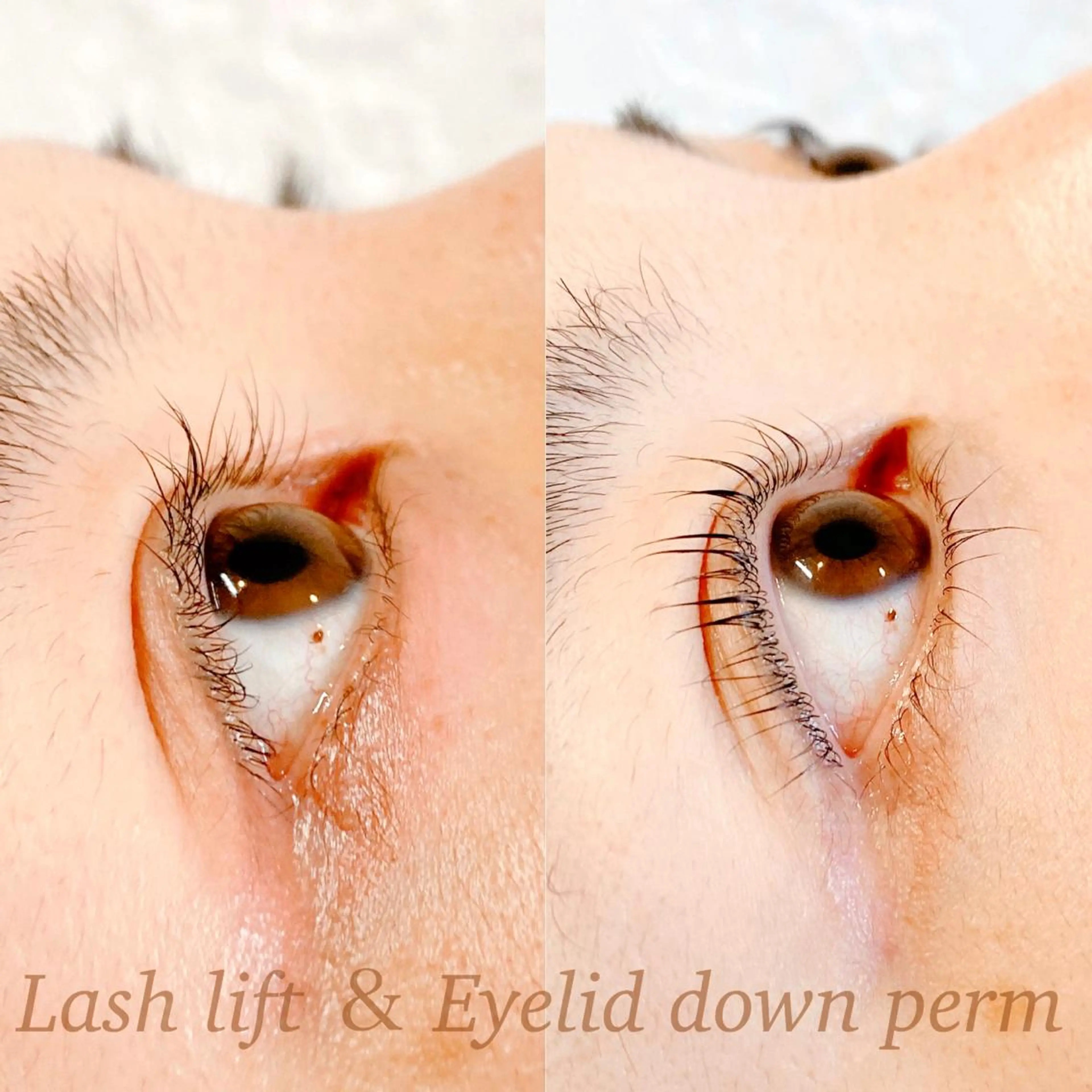 マツエク・マツパ Lash Re：のマツエク・マツパデザイン